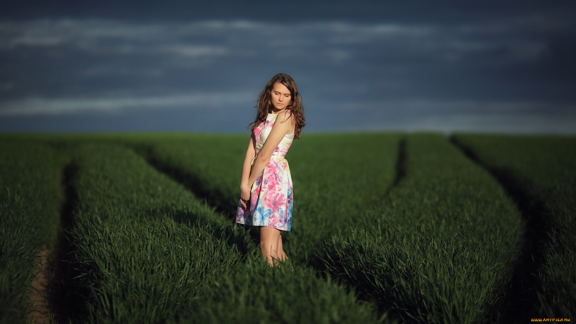 девушка, в, поле, девушки, -, брюнетки, , шатенки, девушка, женщина, шатенка, темноволосая, сексуальная, модель, звезда, позирует, разная, обувь, верхняя, стильная, одежда, нижнее, эротическое, бельё, трусы, лифчик, колготки, чулки, аксессуары, макияж, и, множество, элементов, на, фотографии