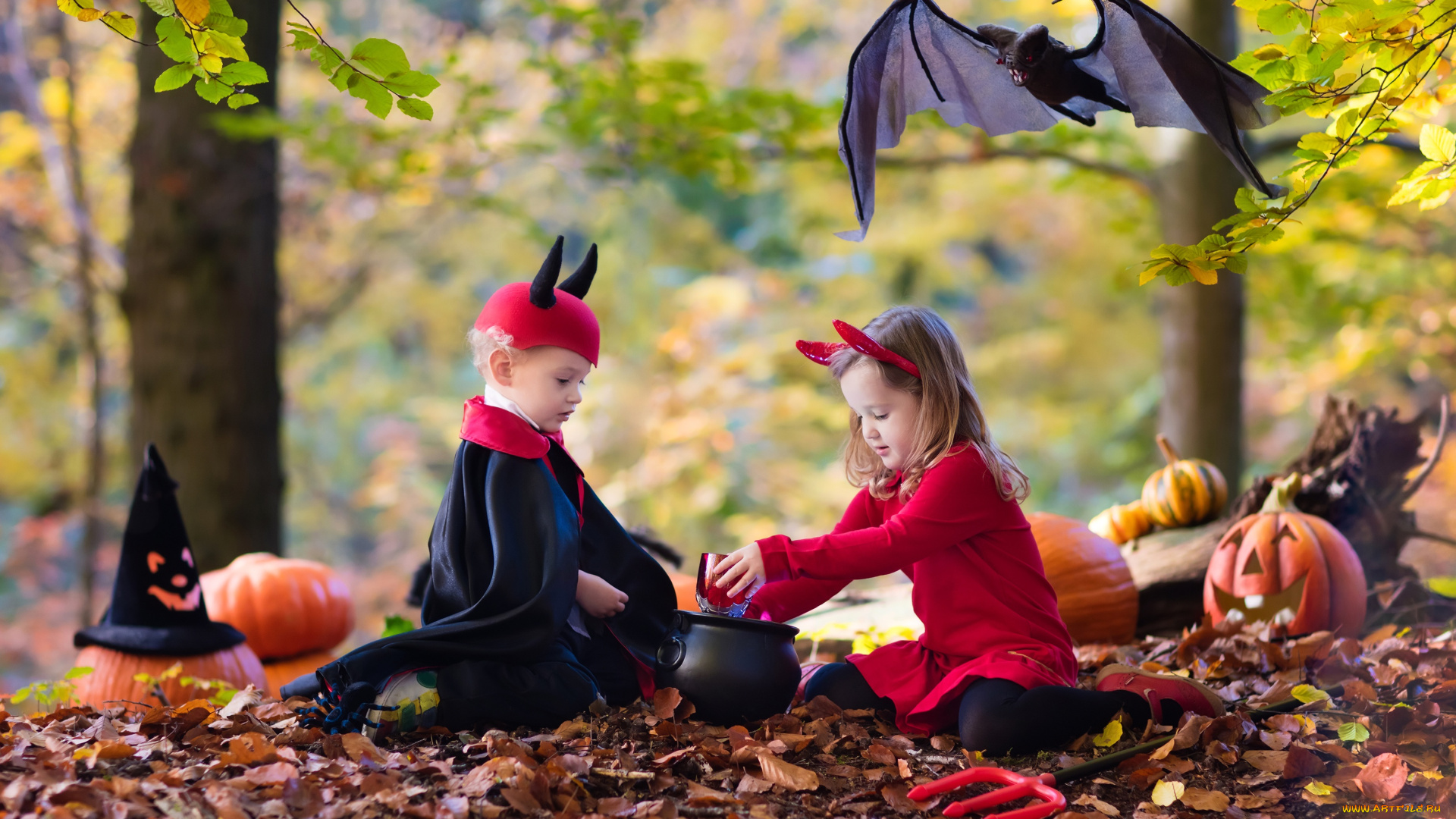разное, дети, мальчик, девочка, котел, осень, лес, летучая, мышь, костюмы