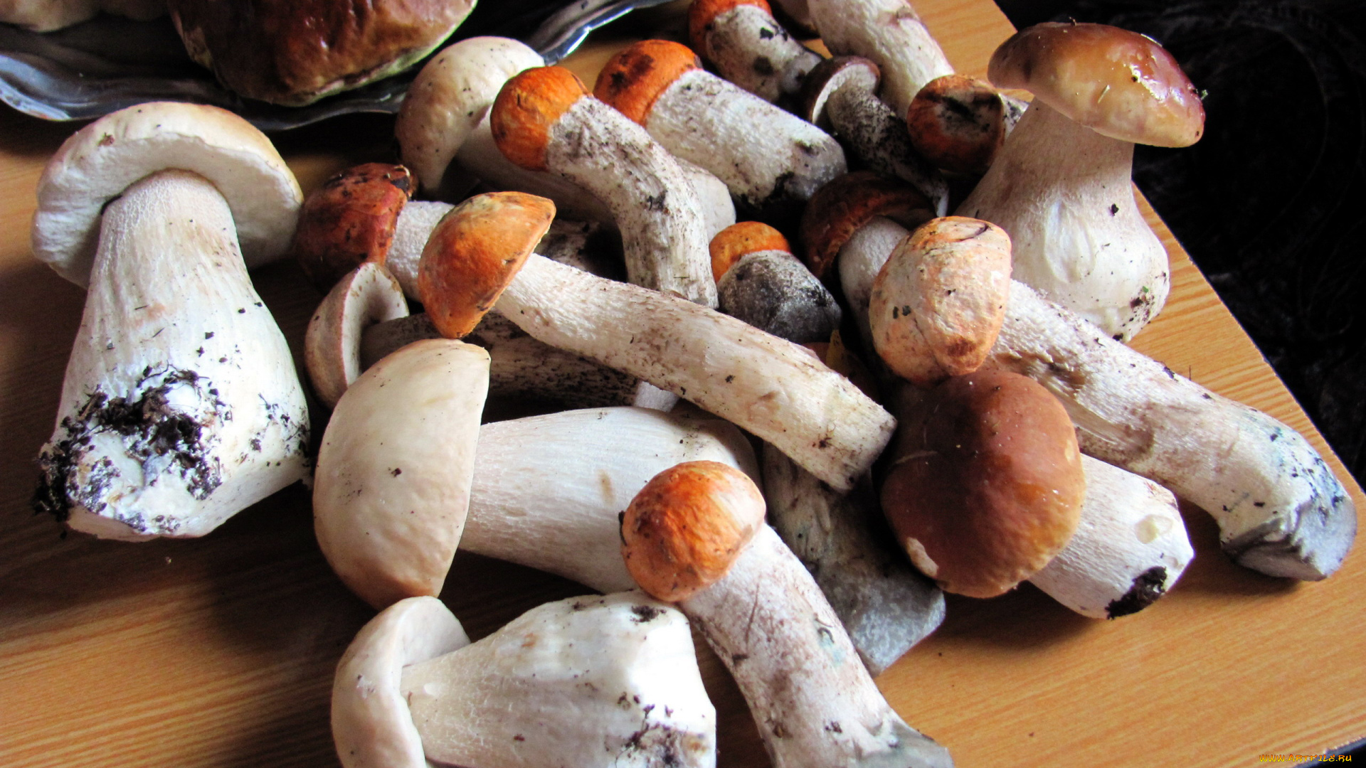 еда, грибы, , грибные, блюда, боровики, подосиновики