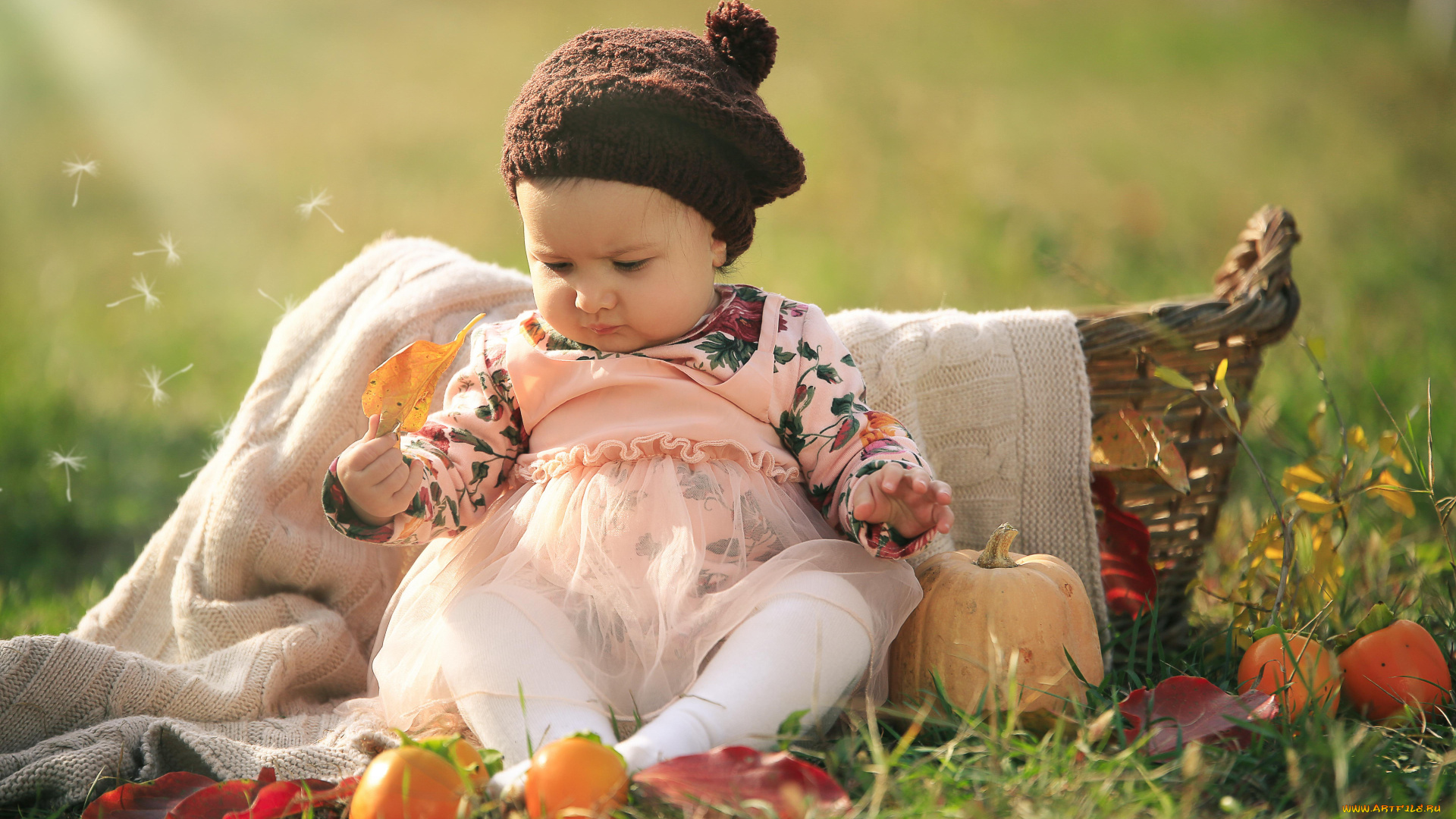 разное, дети, девочка, берет, тыква, корзина, яблоки
