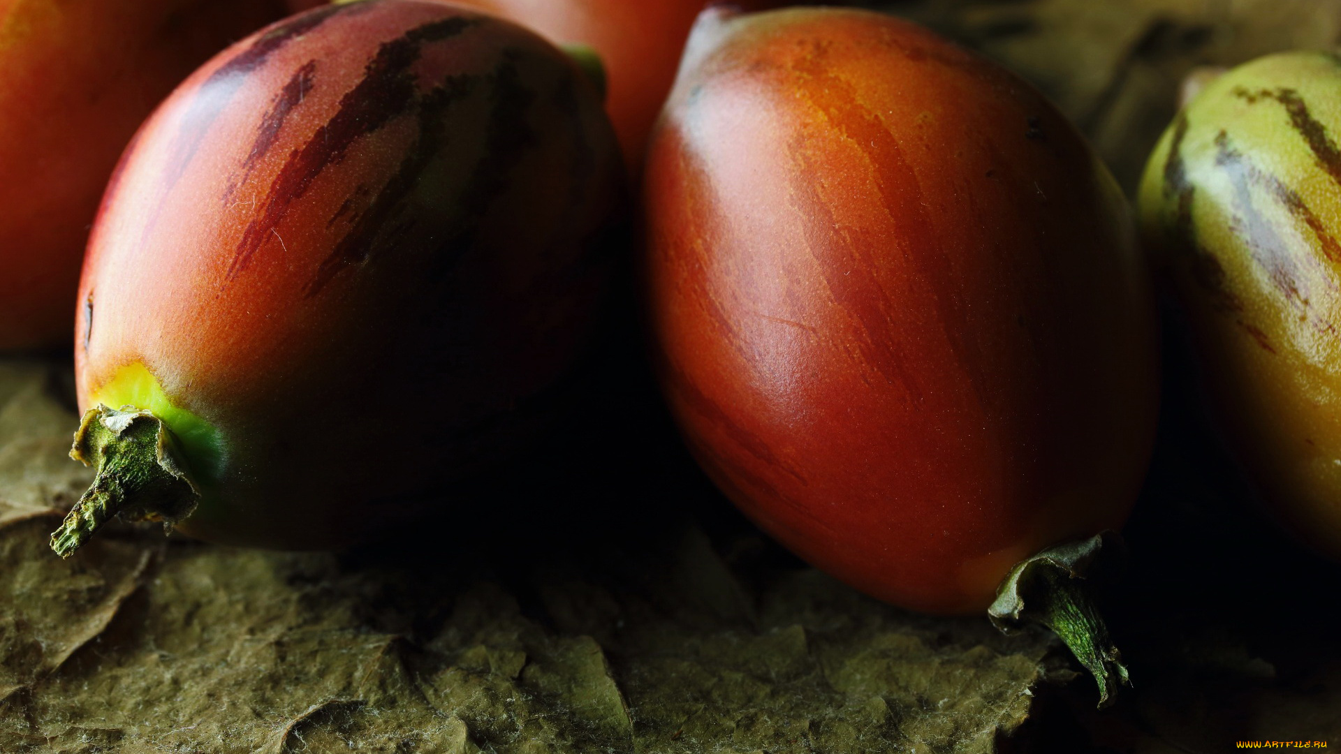 tree, tomato, fruit, еда, тамарилло, tree, tomato, fruit