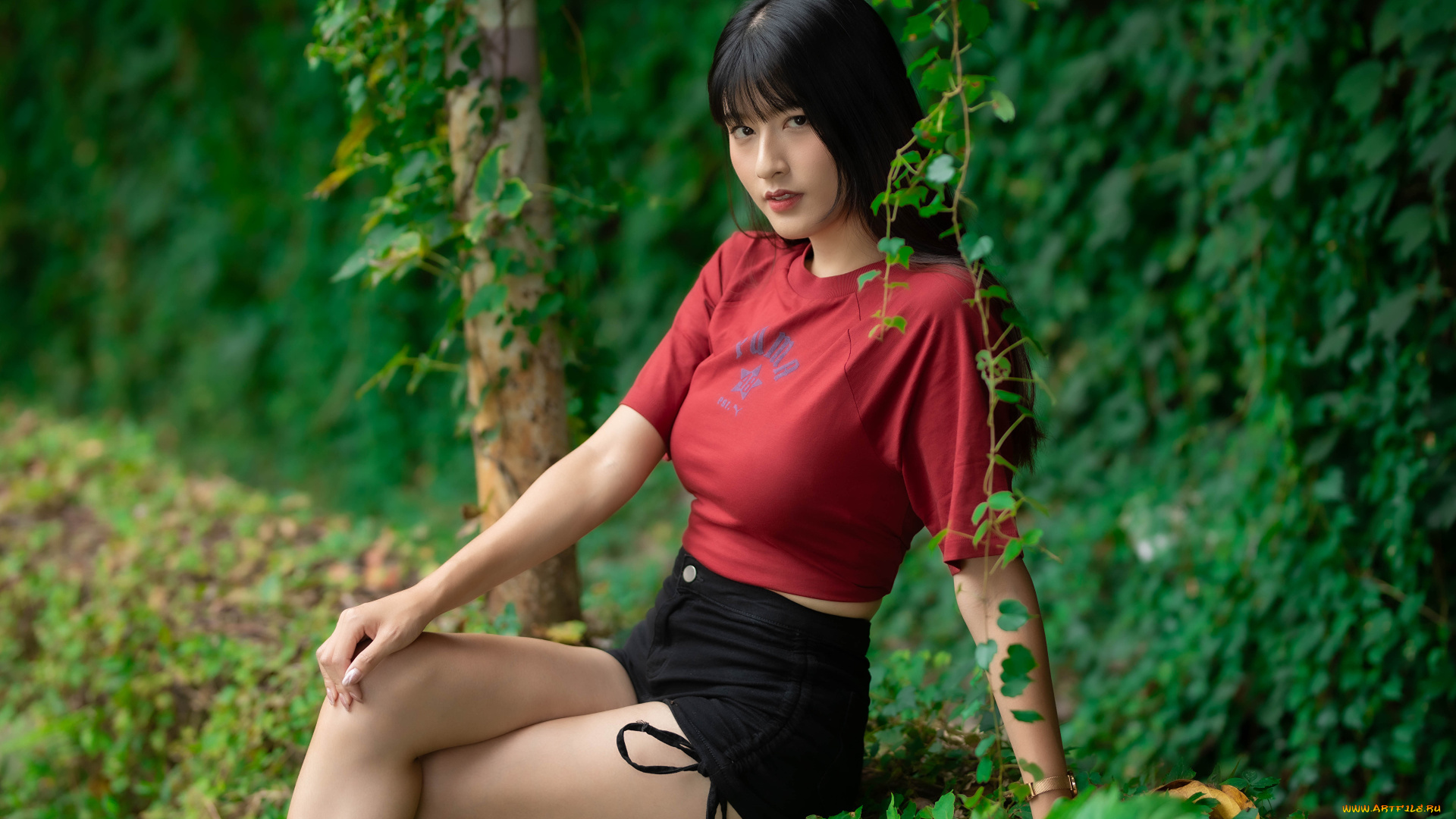 девушки, -, азиатки, девушка