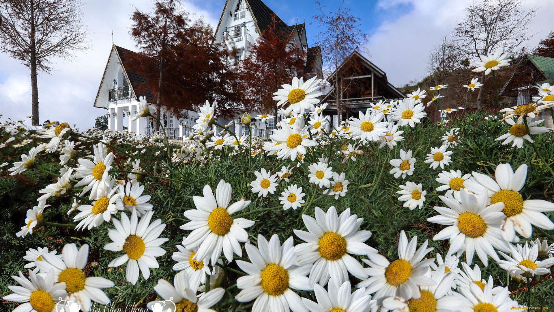 города, -, здания, , дома, дом