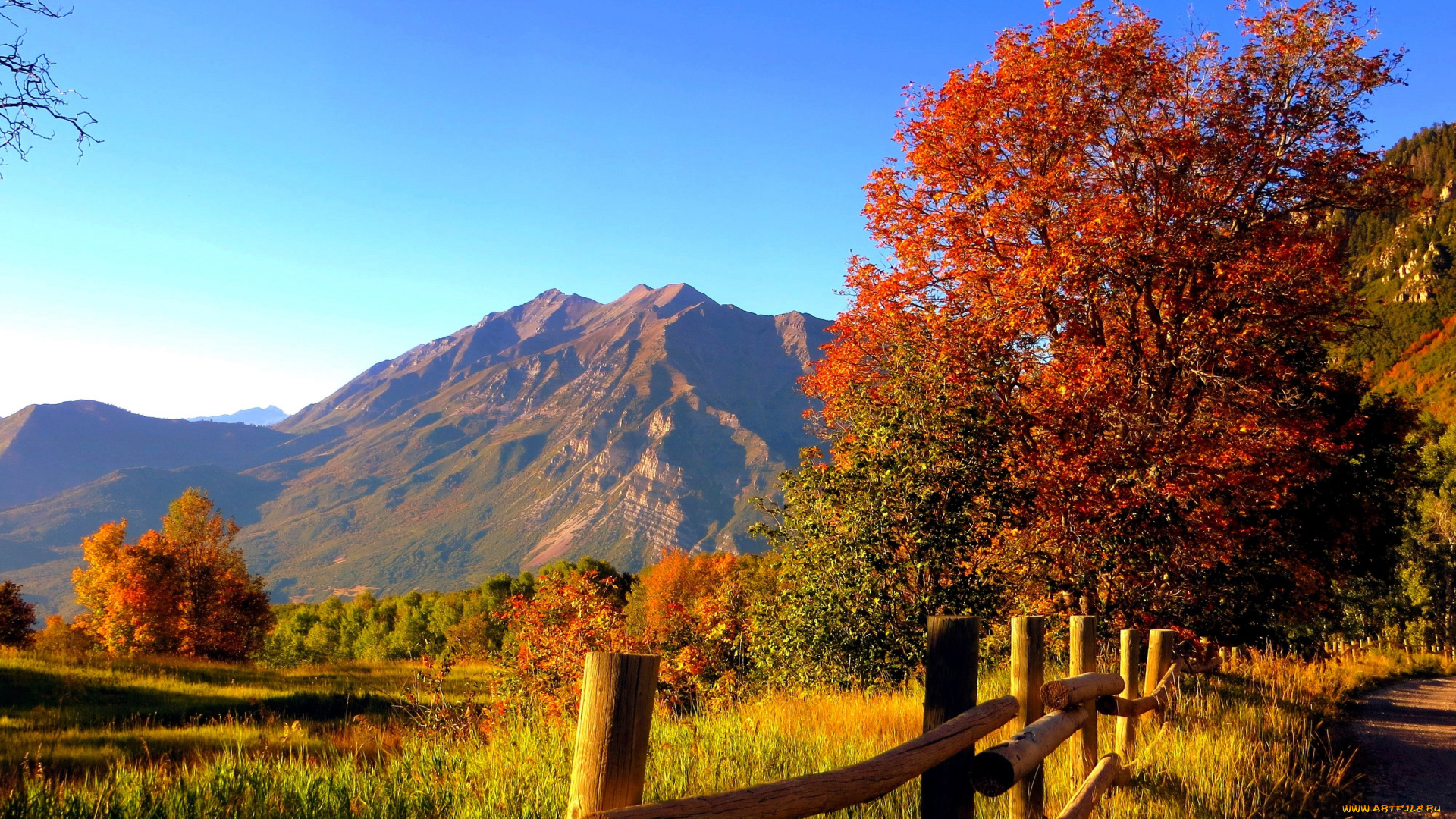 природа, горы, деревья, осень, луг, забор, дорога