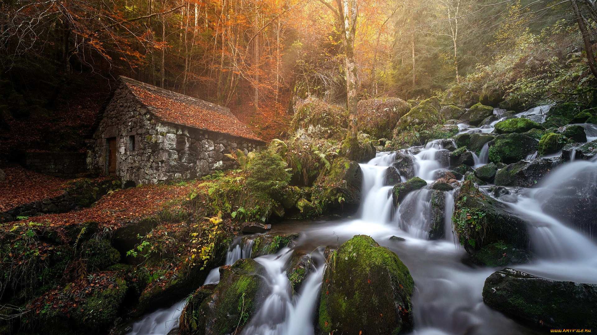 разное, сооружения, , постройки, лес, осень, деревья, домик, овраг, поток, водопад, камни, листья