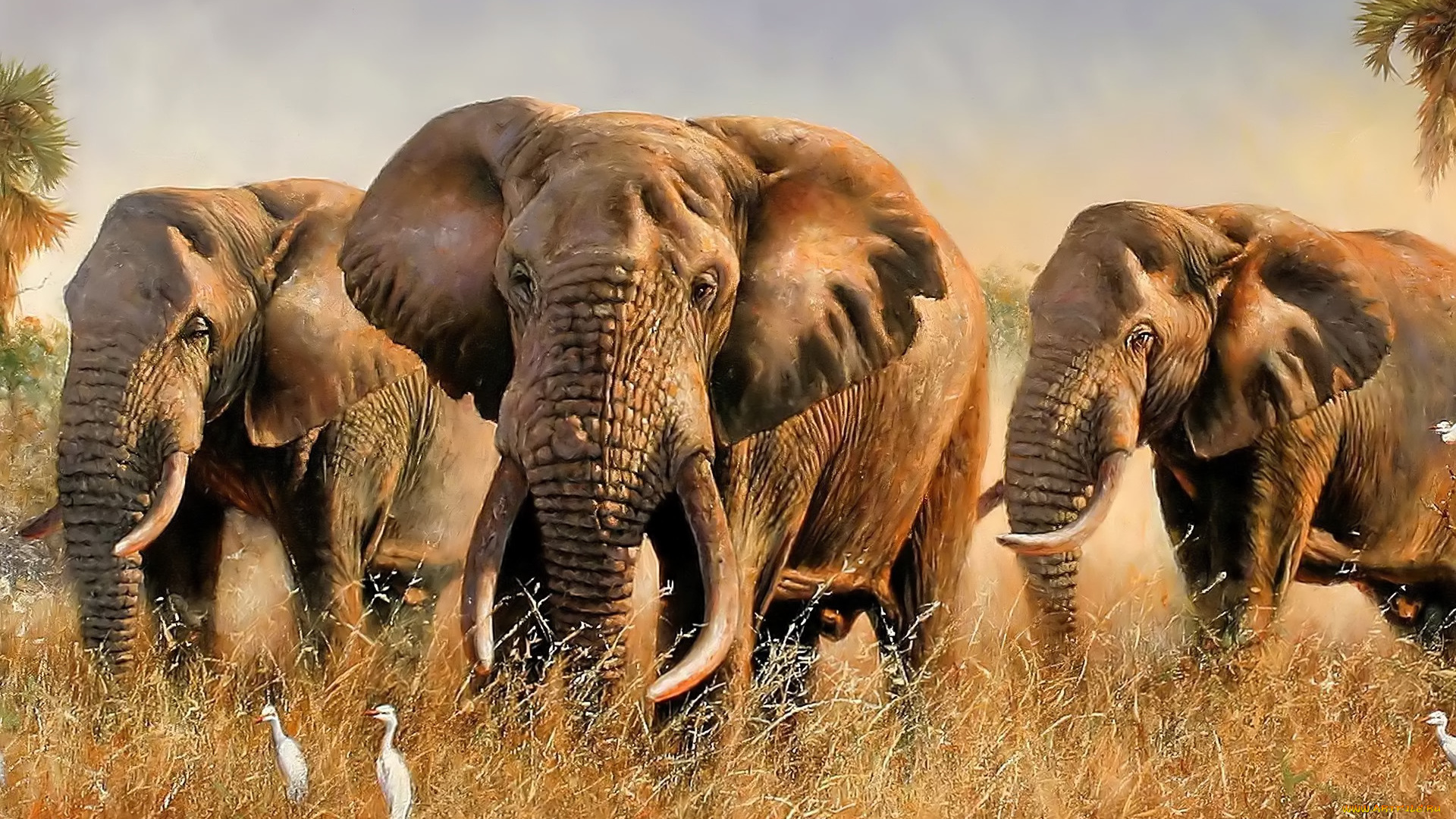 рисованное, eric, forlee, слоны, пальмы, трава, саванна, цапли