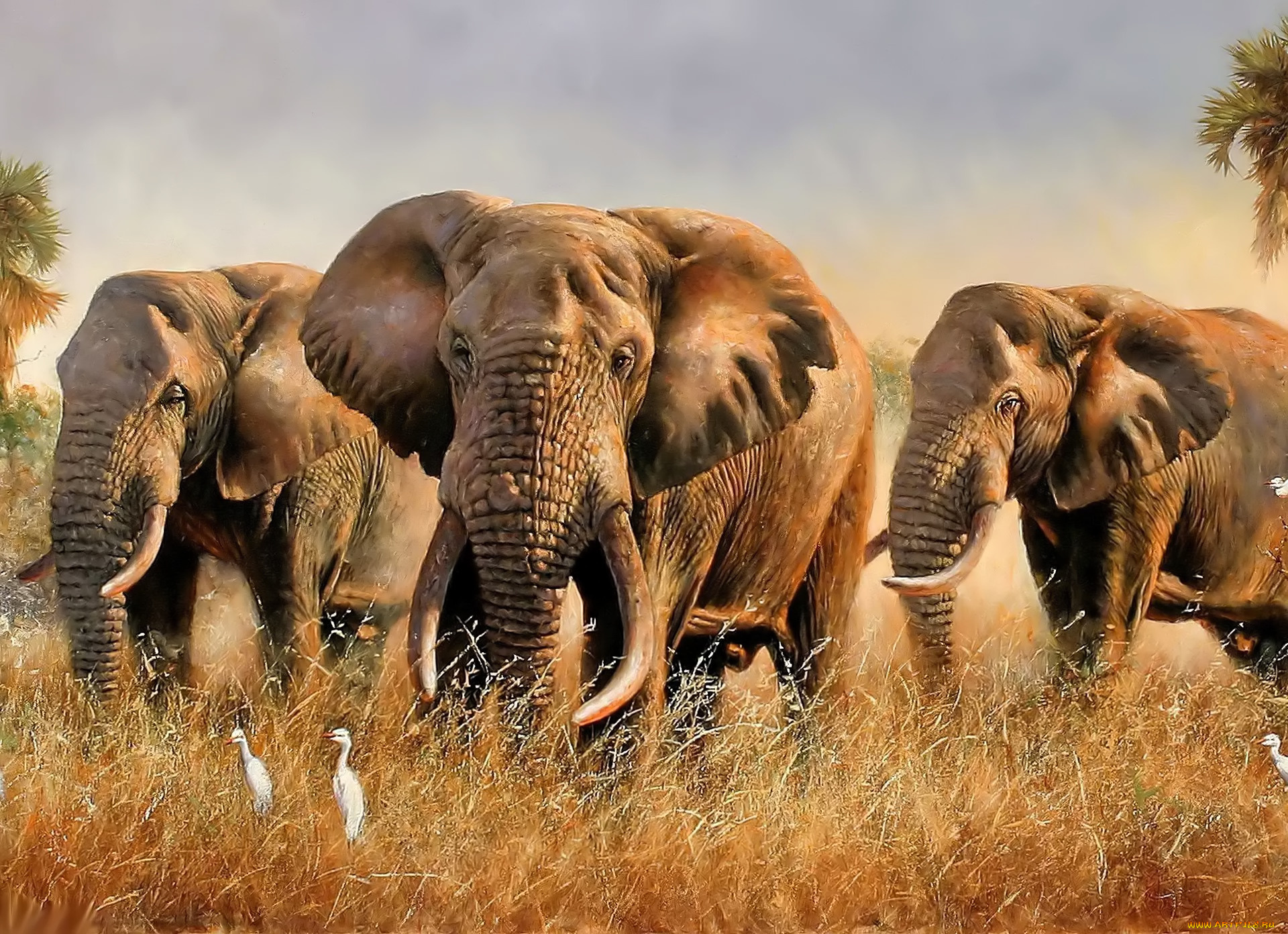 рисованное, eric, forlee, слоны, пальмы, трава, саванна, цапли