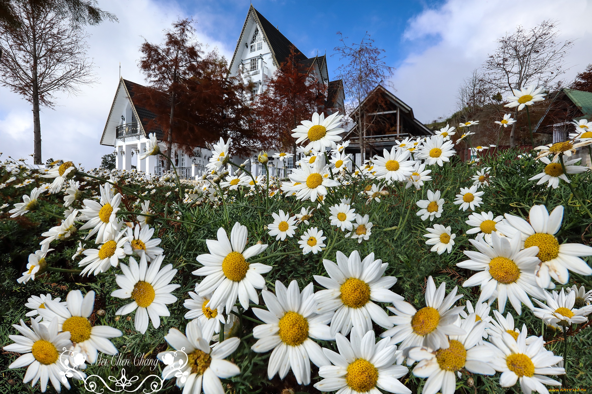 города, -, здания, , дома, дом