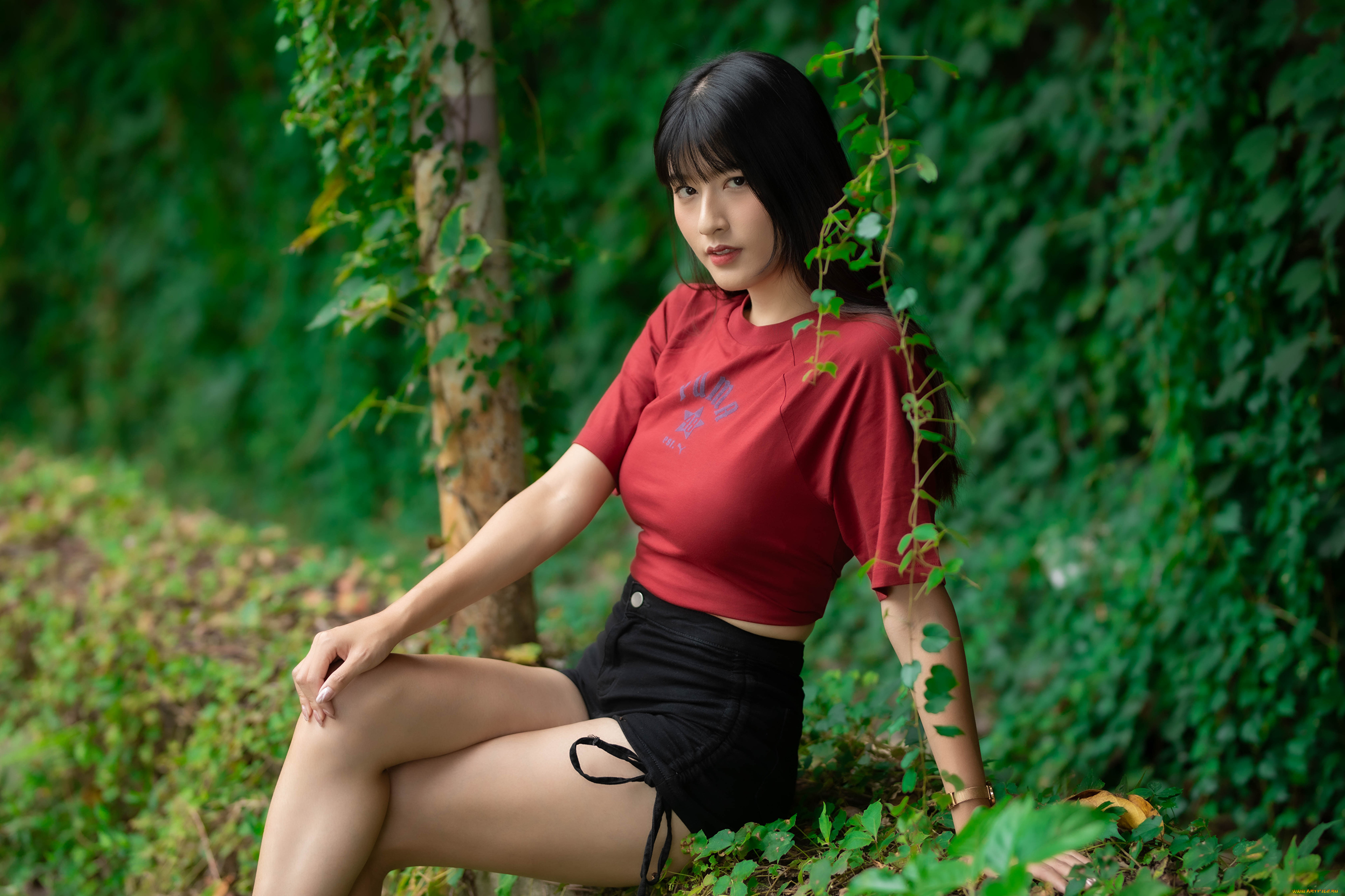 девушки, -, азиатки, девушка