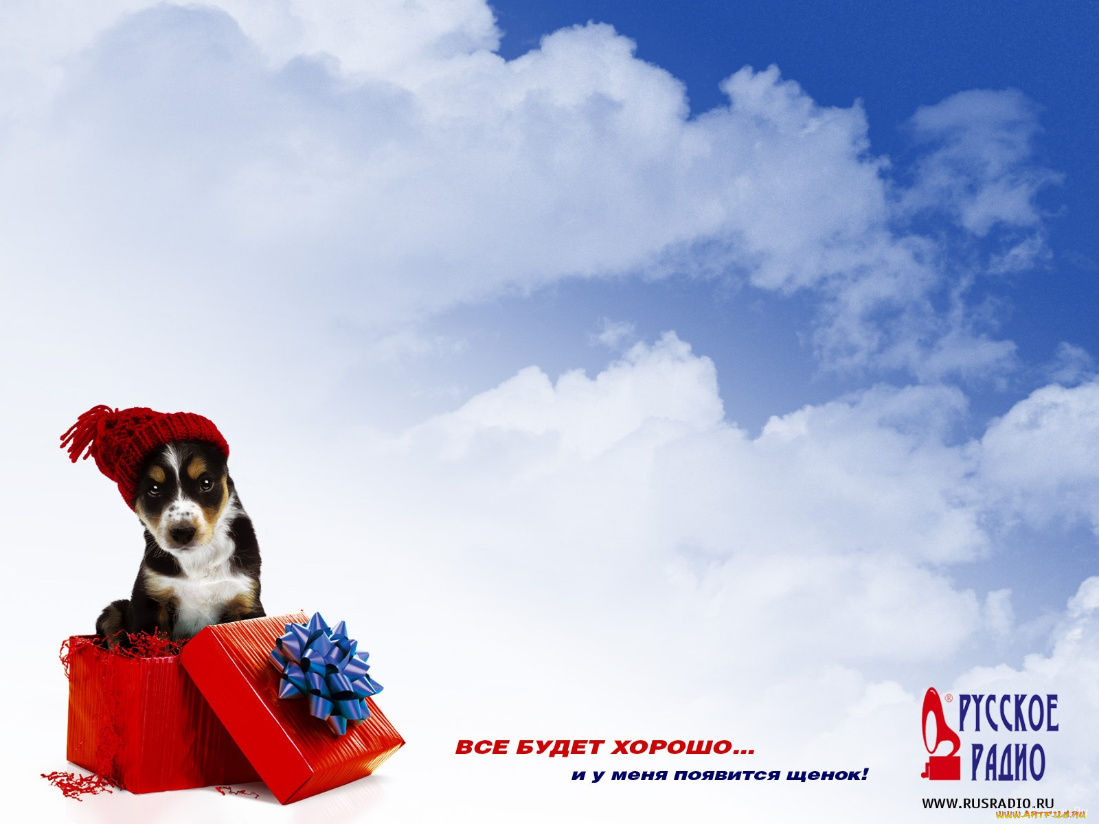 бренды, русское, радио