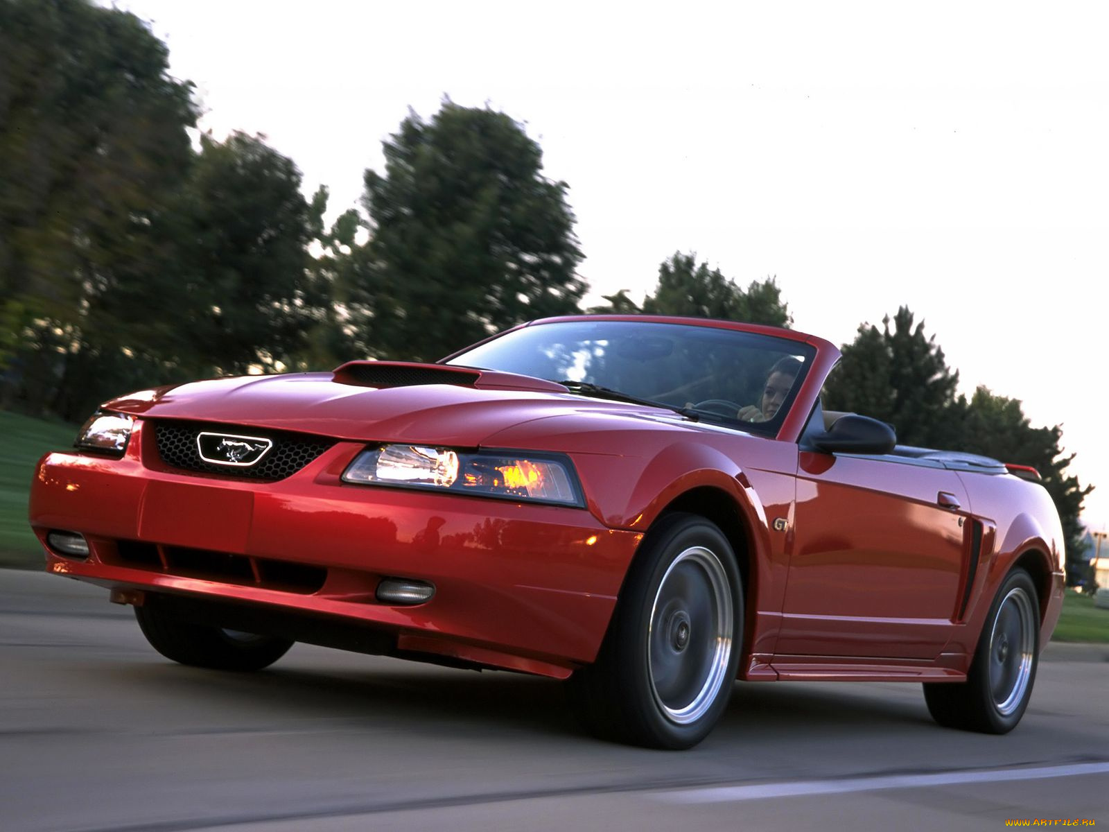 автомобили, mustang