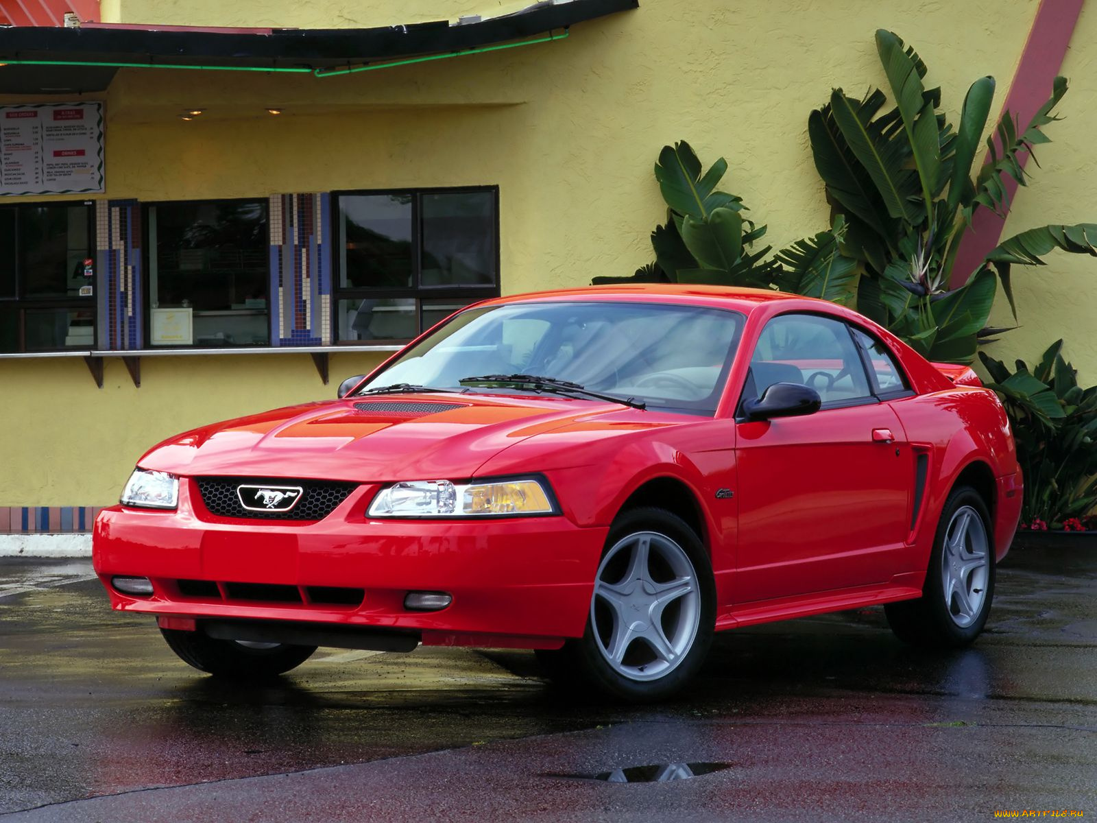 автомобили, mustang