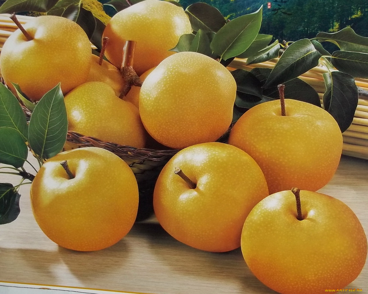 еда, Яблоки