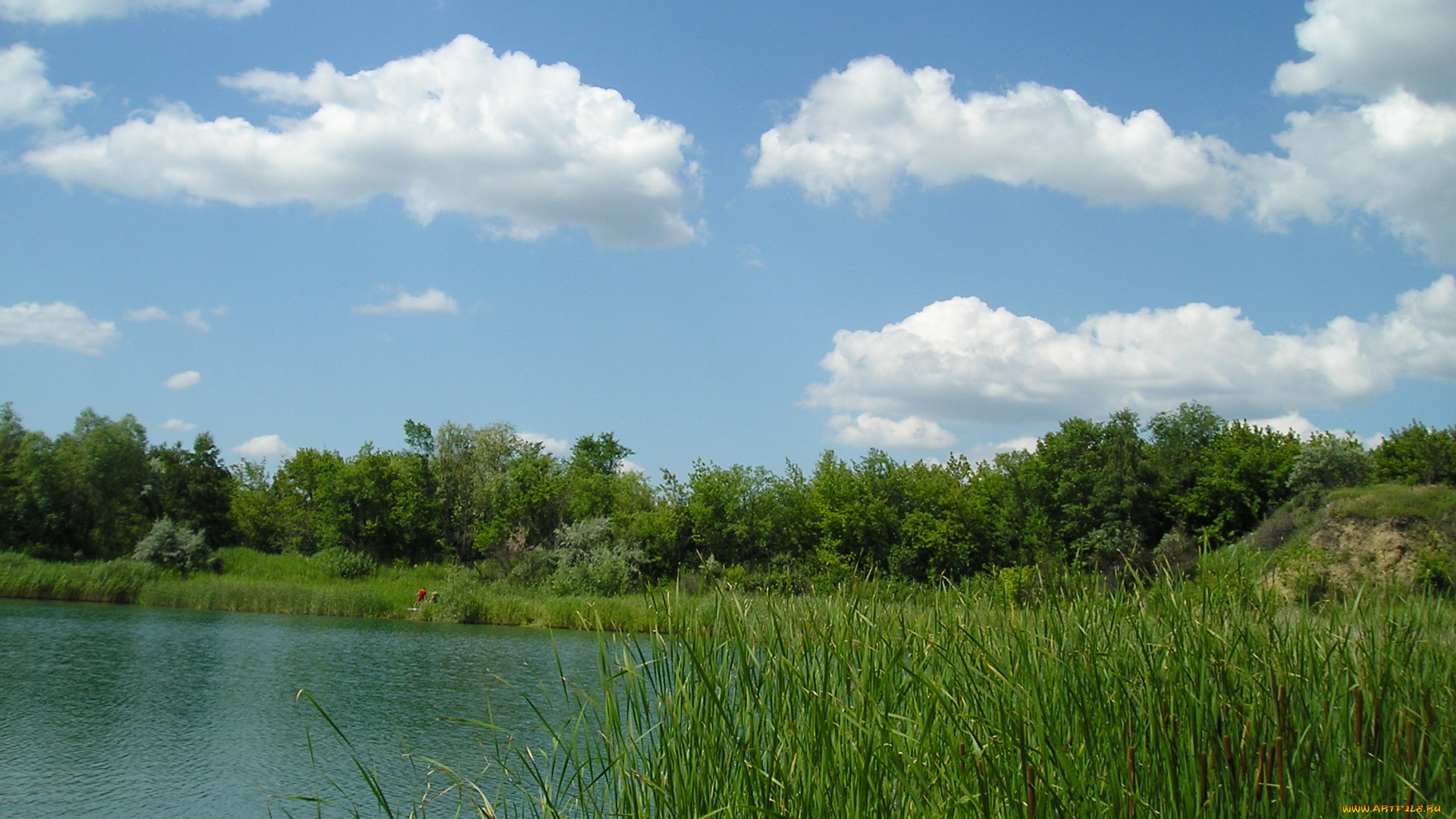 alex101957, природа, реки, озера