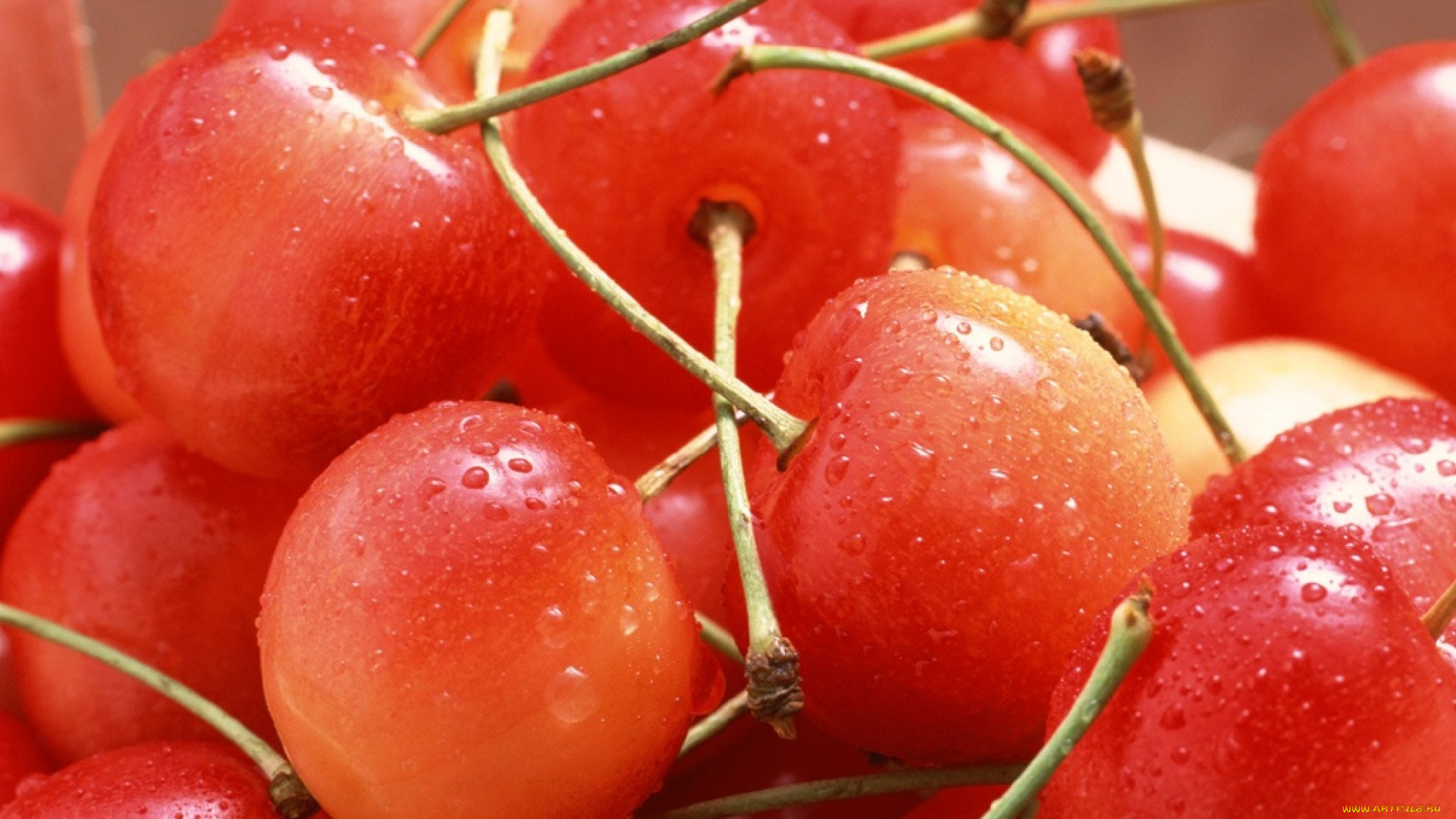 еда, вишня, черешня