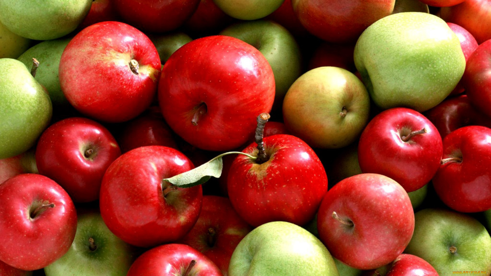 еда, Яблоки