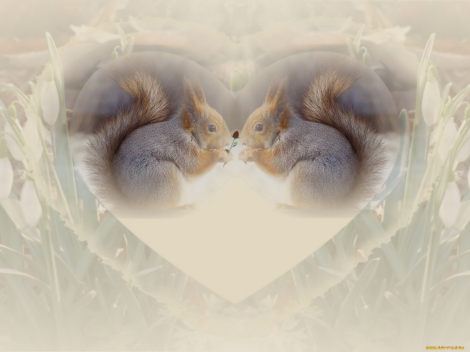 разное, компьютерный, дизайн, подснежники, белочки