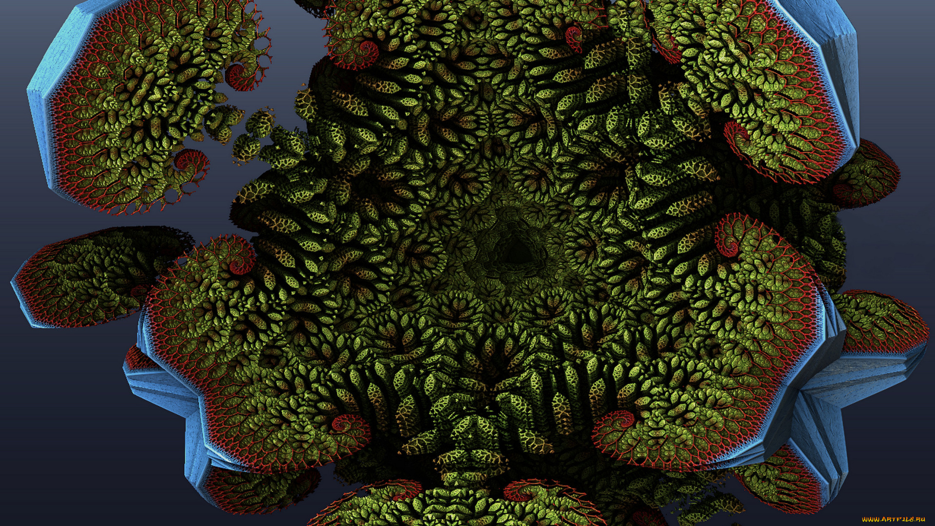 3д, графика, fractal, фракталы, узор, абстракция