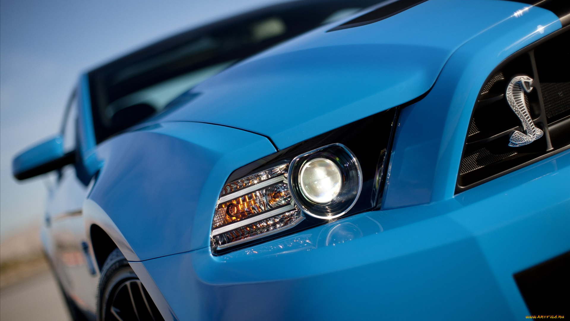 ford, shelby, gt500, 2013, автомобили, фрагменты, автомобиля