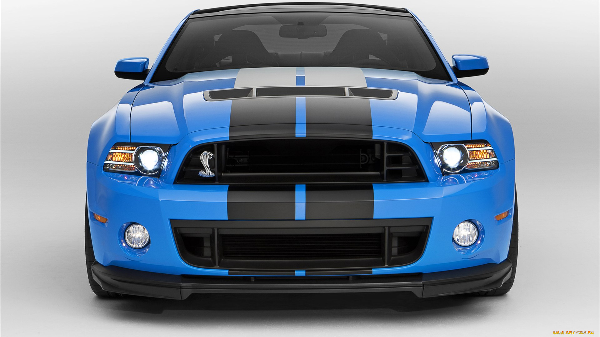 ford, shelby, gt500, 2013, автомобили, mustang