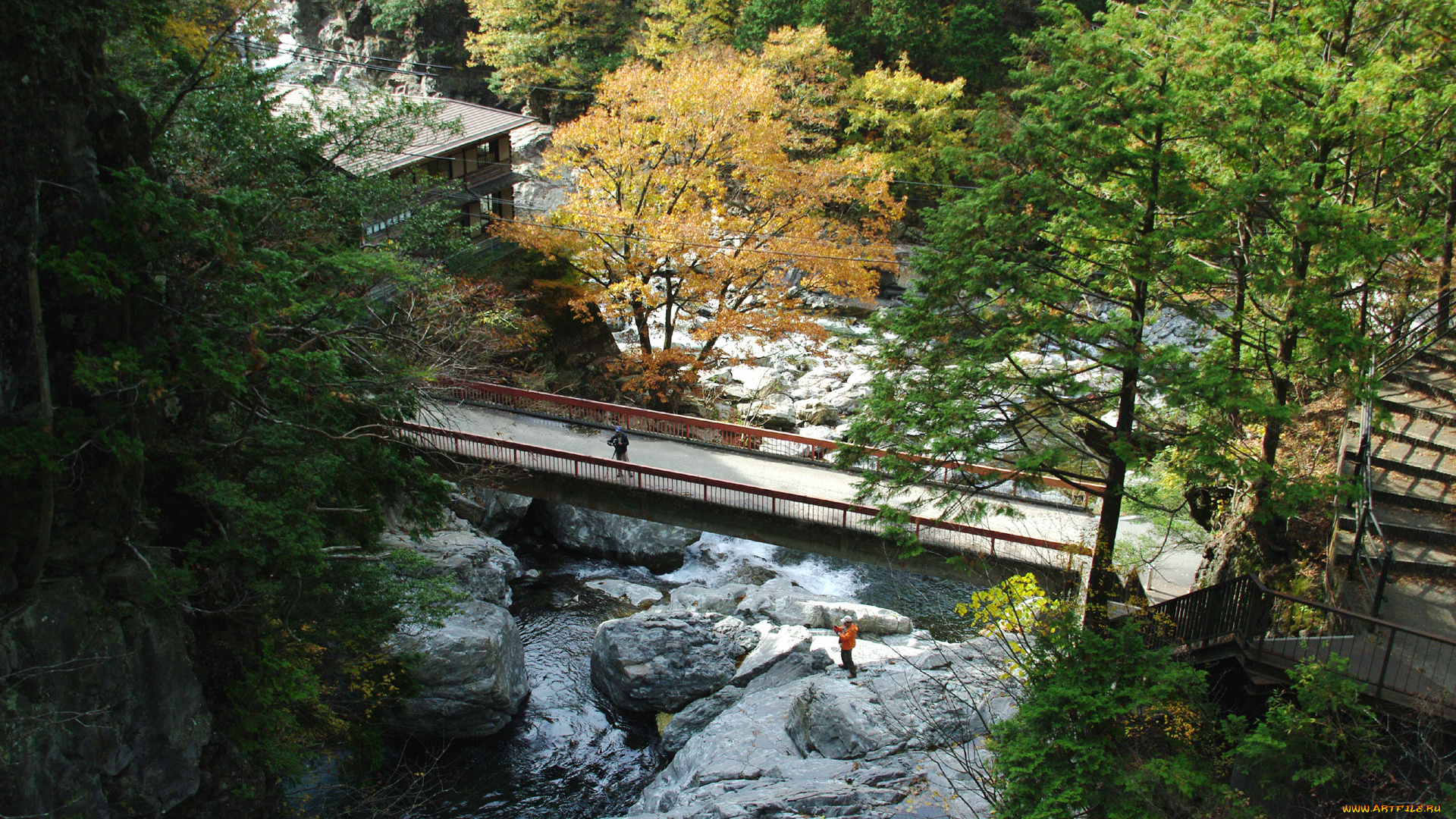 природа, реки, озера, мост, камни