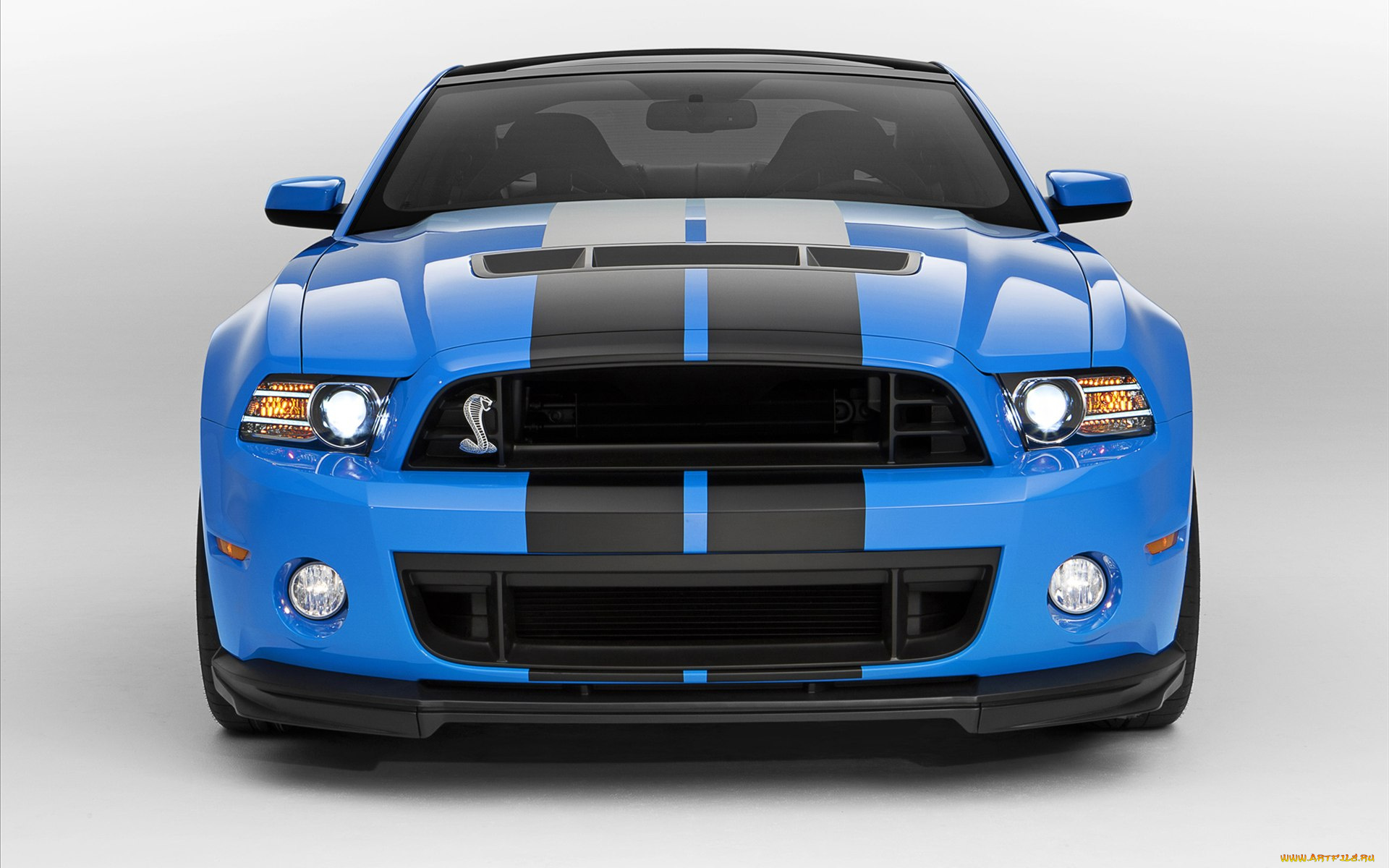 ford, shelby, gt500, 2013, автомобили, mustang