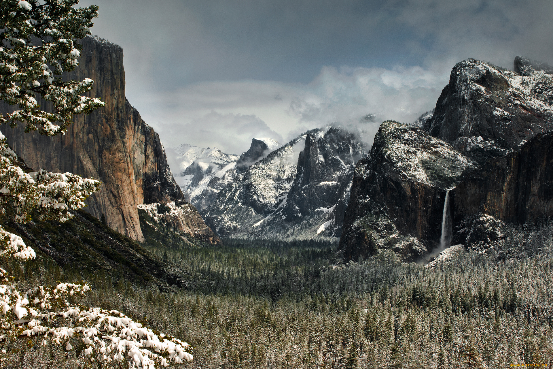 природа, горы, лес