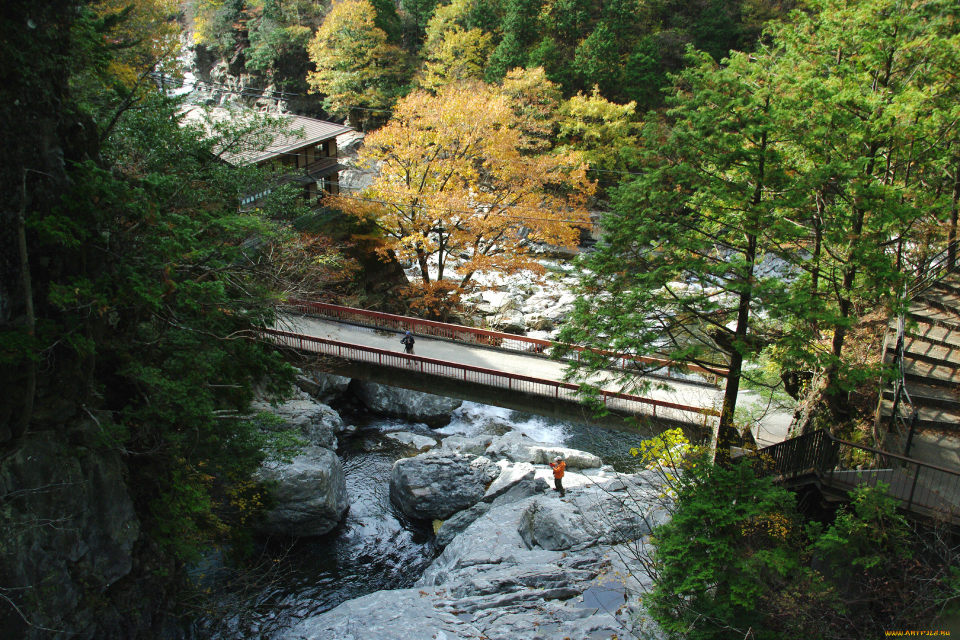 природа, реки, озера, мост, камни