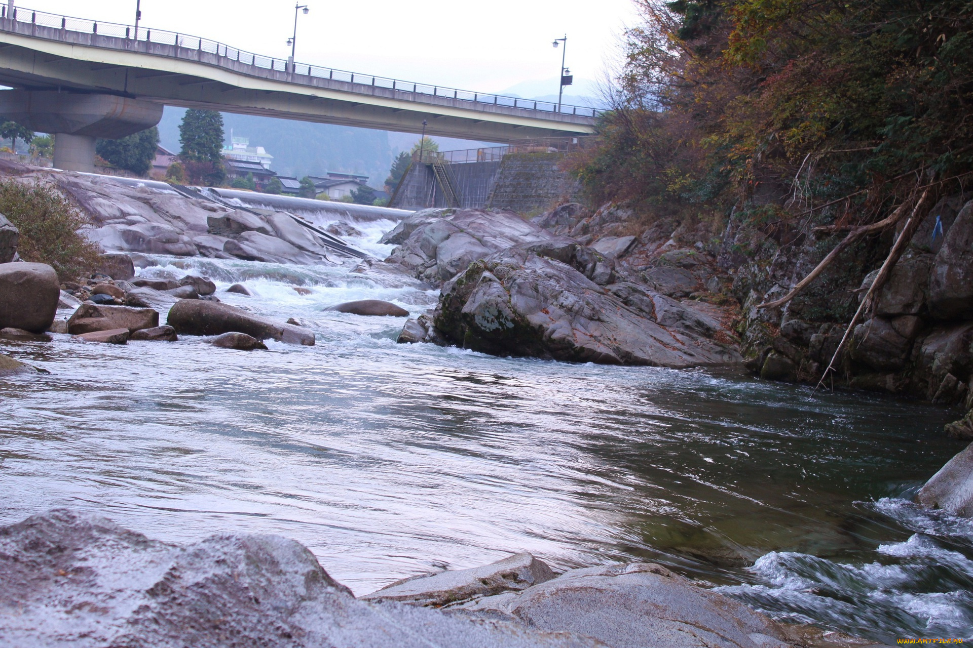 природа, реки, озера, мост, камни