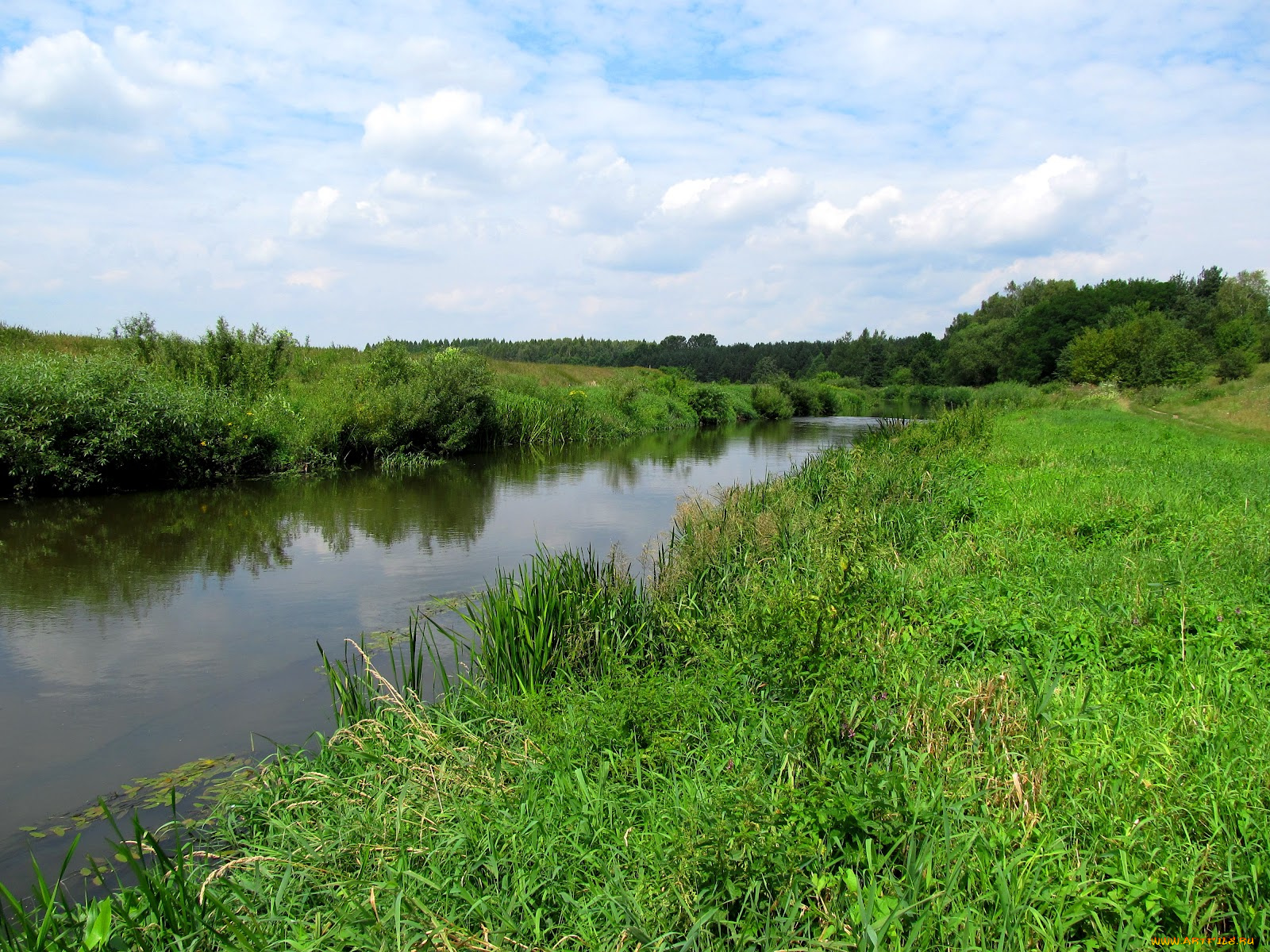 природа, реки, озера, луг, река, облака