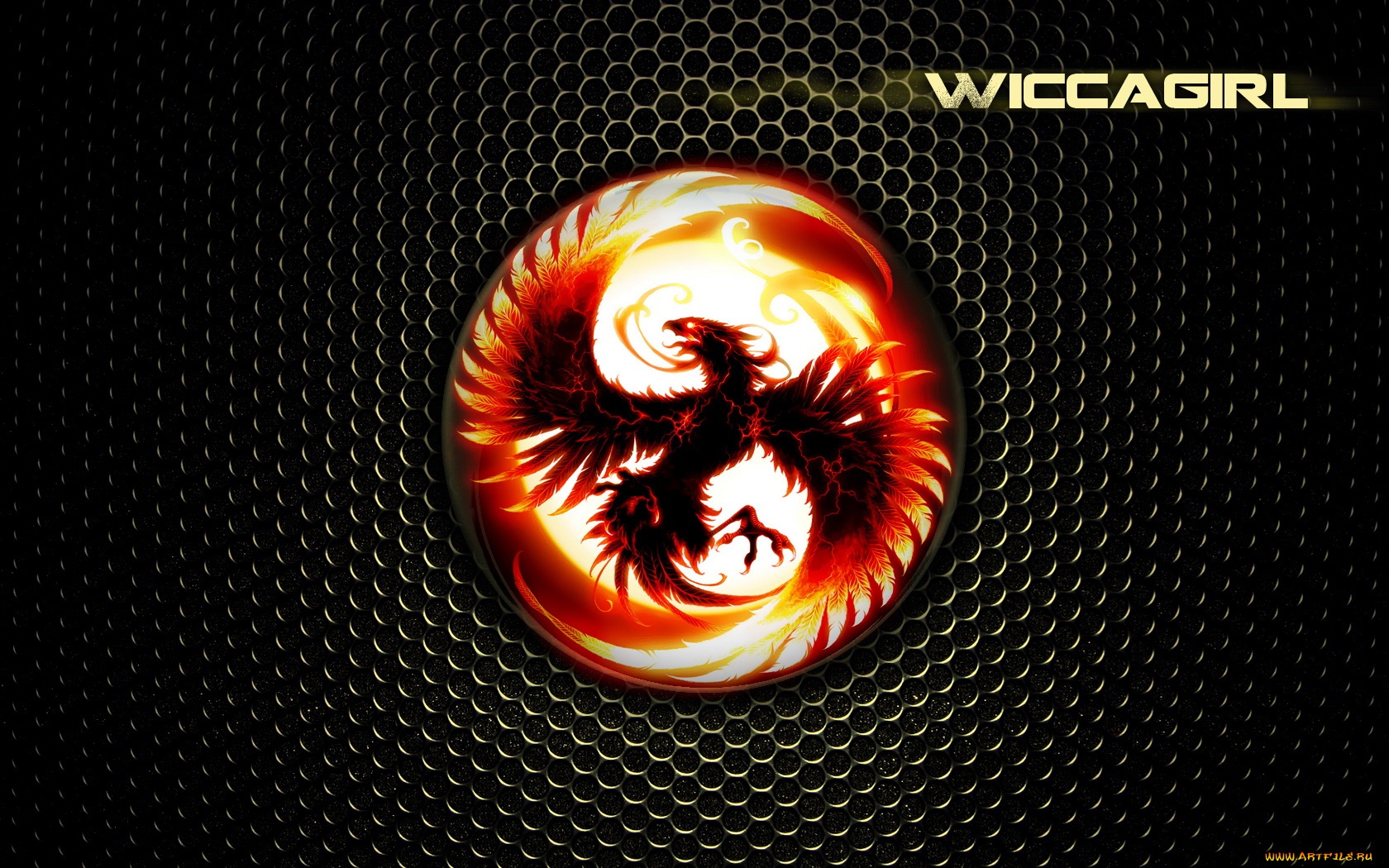 видео, игры, ~~~другое~~~, птица