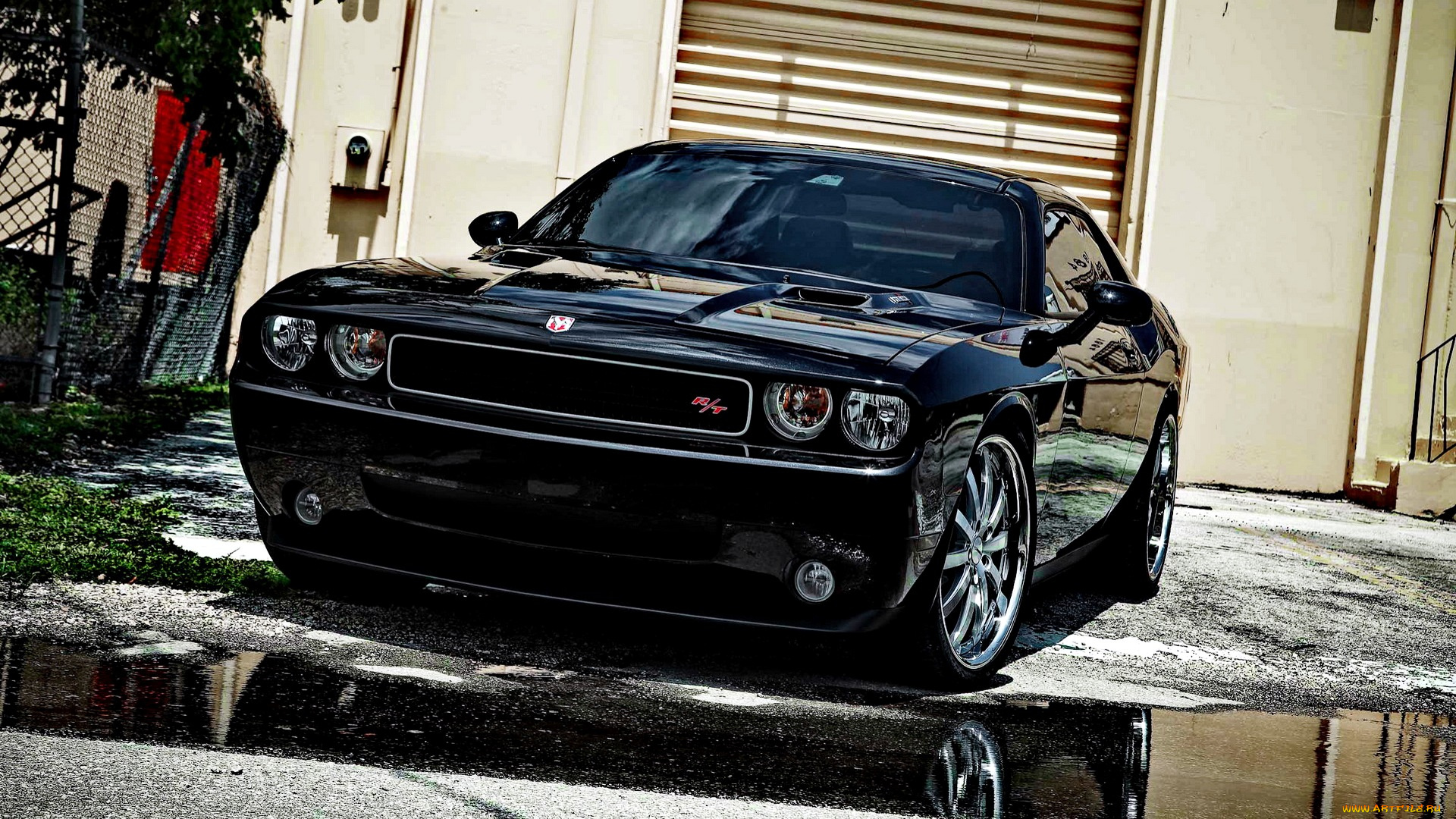 dodge, challenger, автомобили, автомобиль, стиль, изящество, мощь, скорость