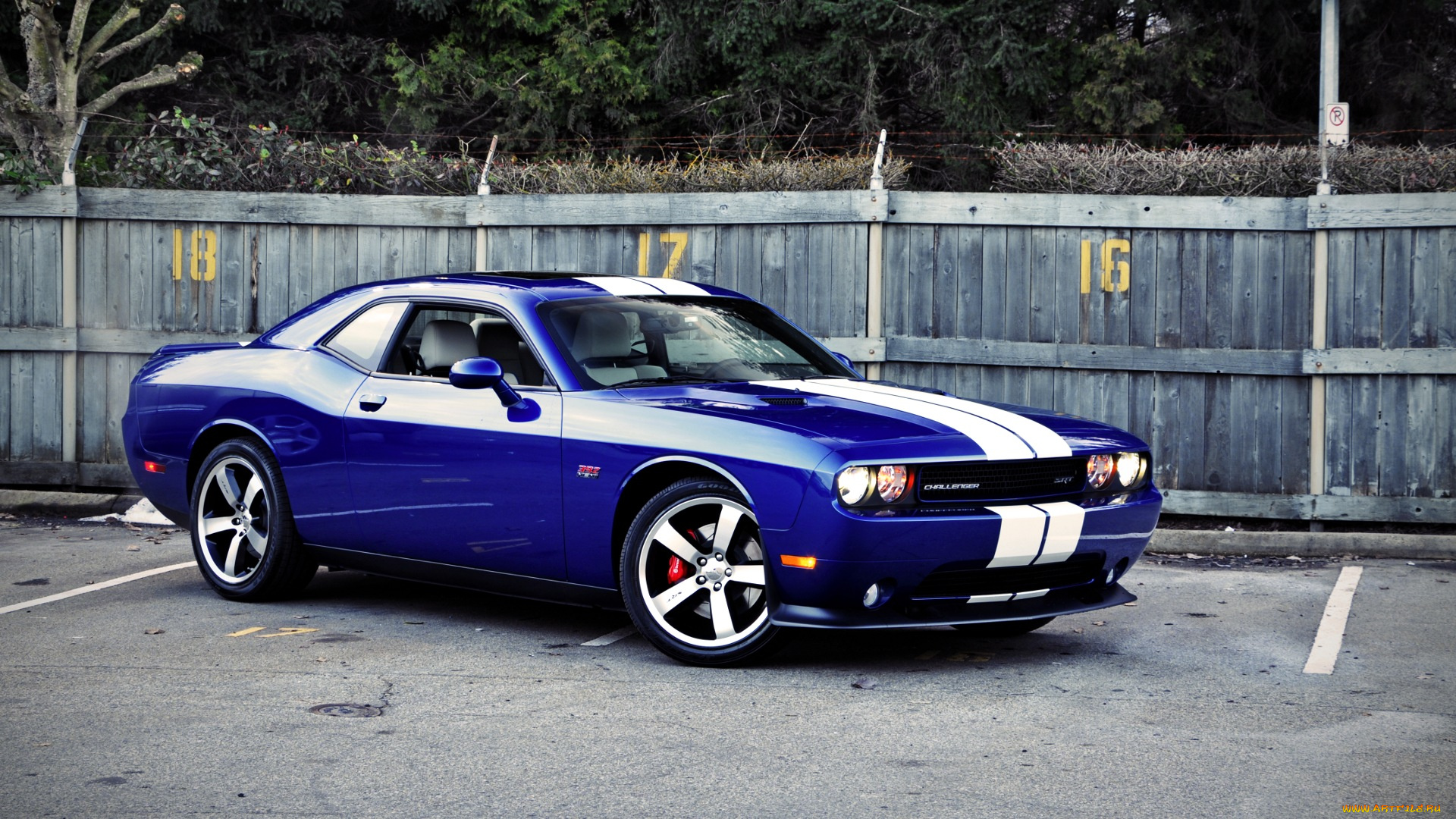 dodge, challenger, автомобили, изящество, мощь, скорость, стиль, автомобиль