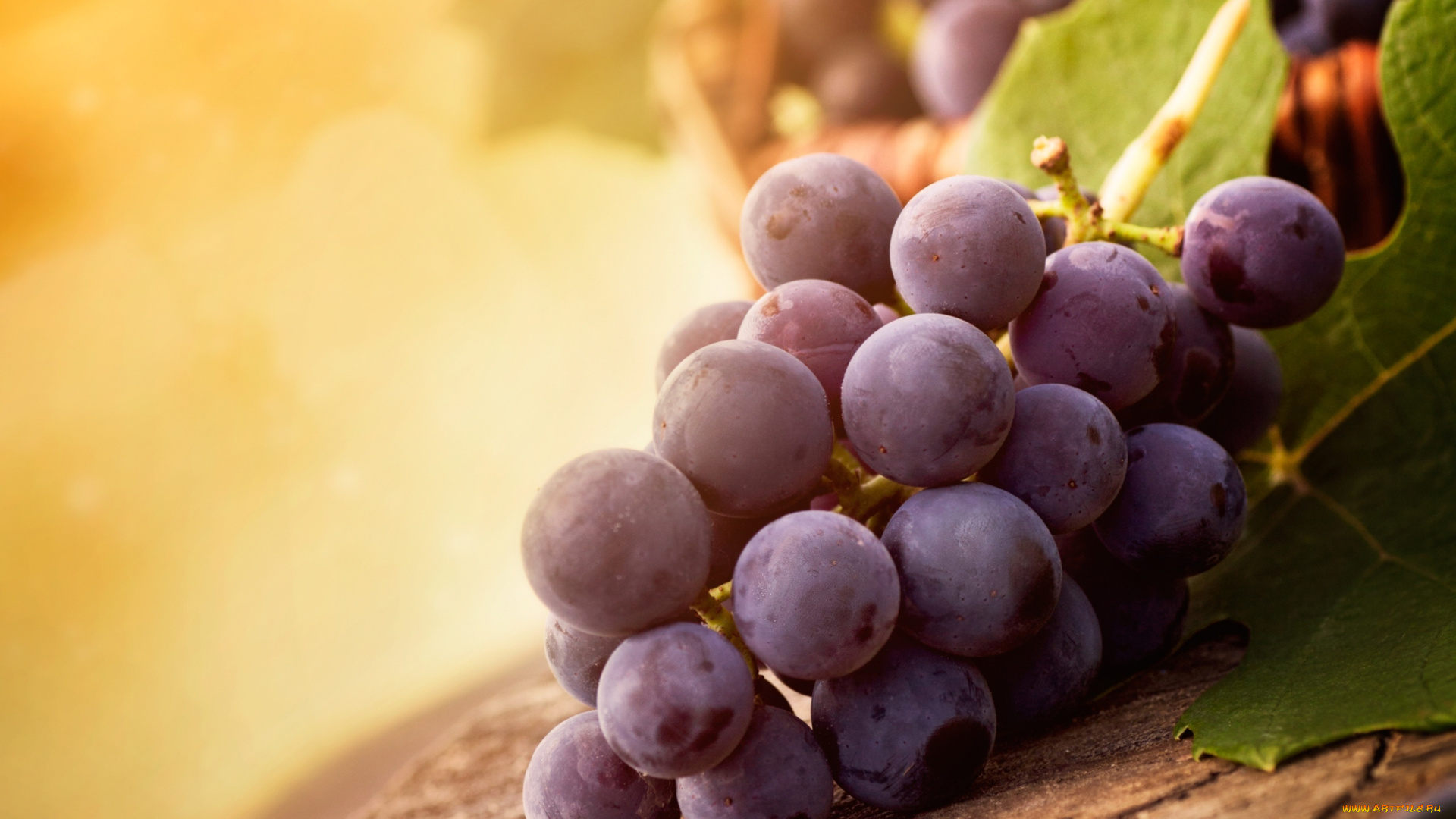 еда, виноград, гроздь