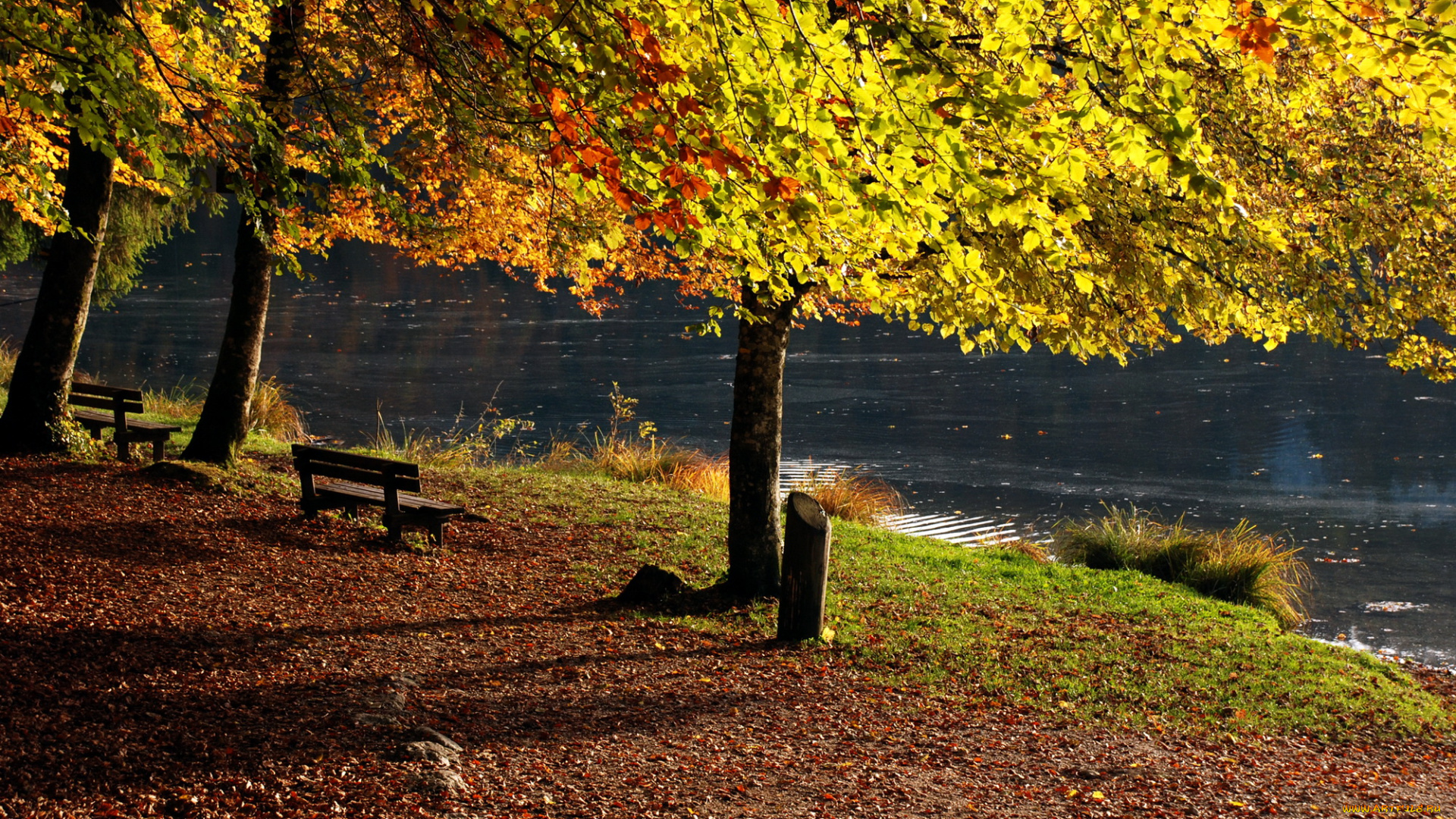 франция, бонльё, природа, парк, река, осень