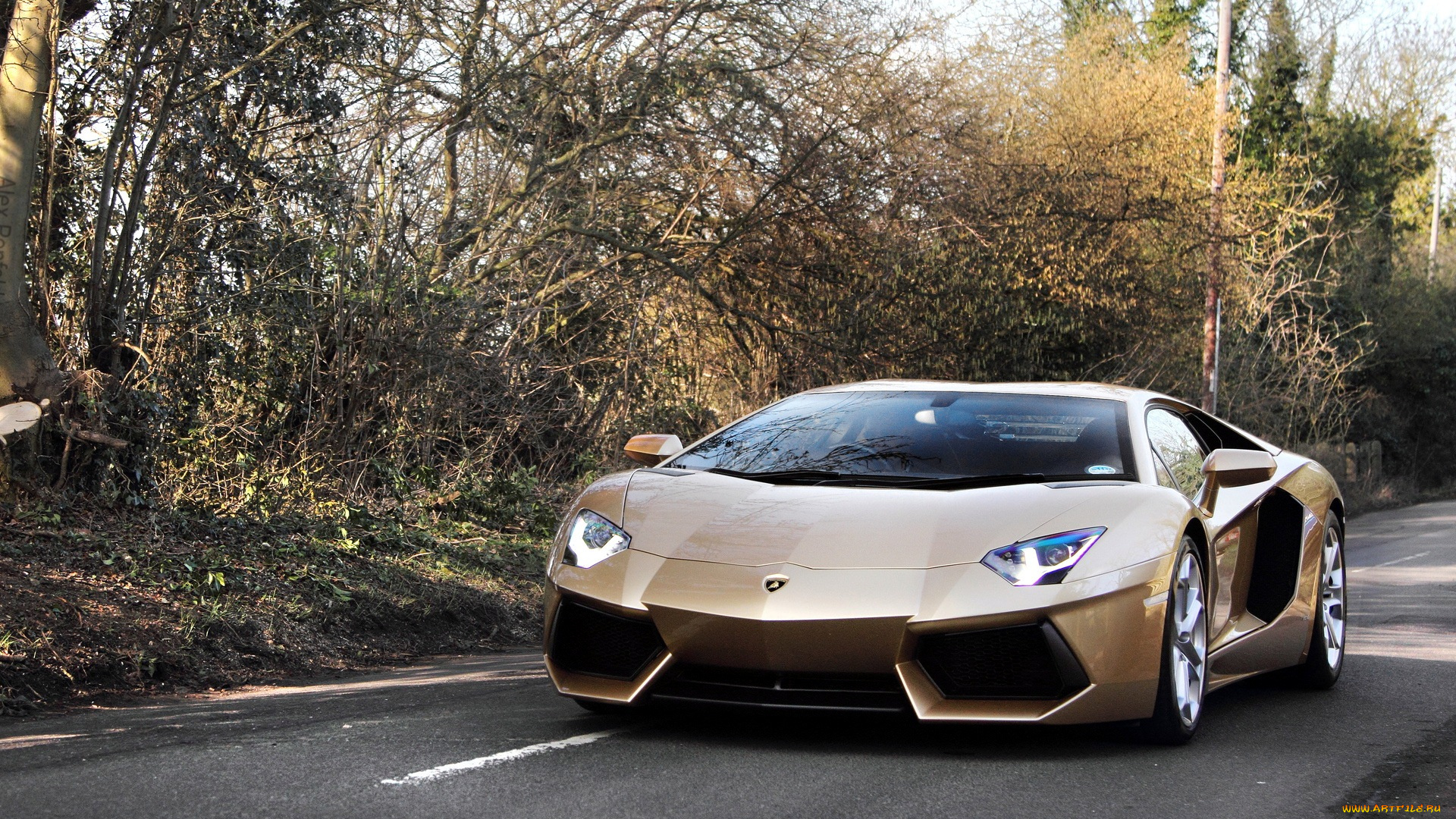 lamborghini, aventador, автомобили, скорость, мощь, изящество, стиль, автомобиль