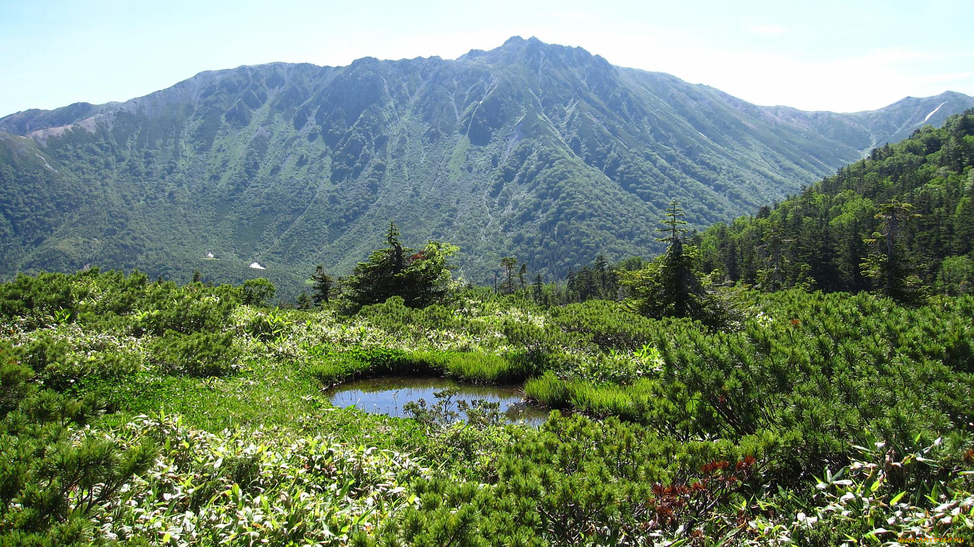 природа, горы, зелень