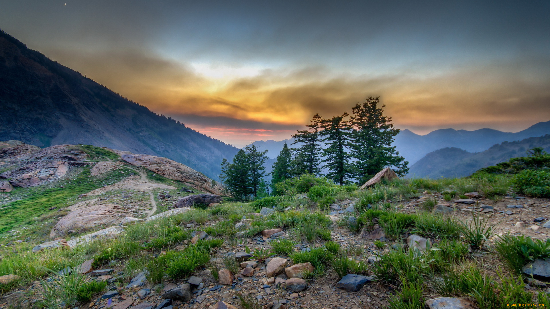 природа, пейзажи, деревья, горы