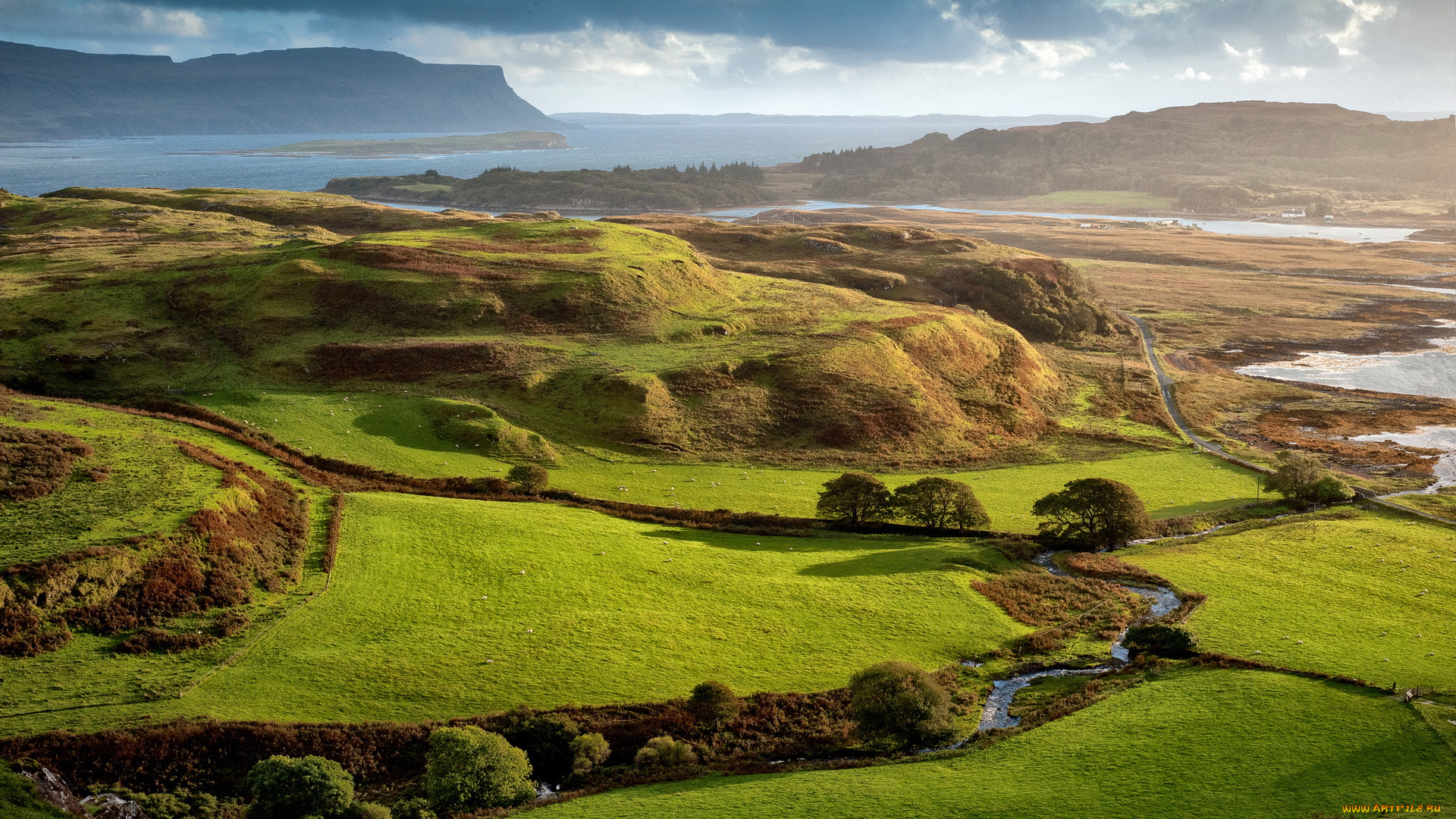 природа, пейзажи, поля