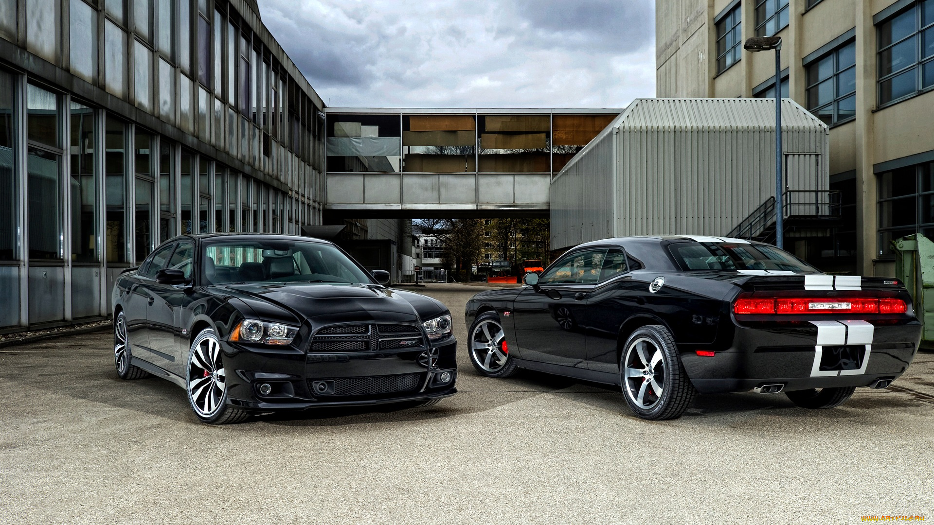 вodge, mixed, автомобили, dodge, мощь, скорость, изящество, автомобиль, стиль