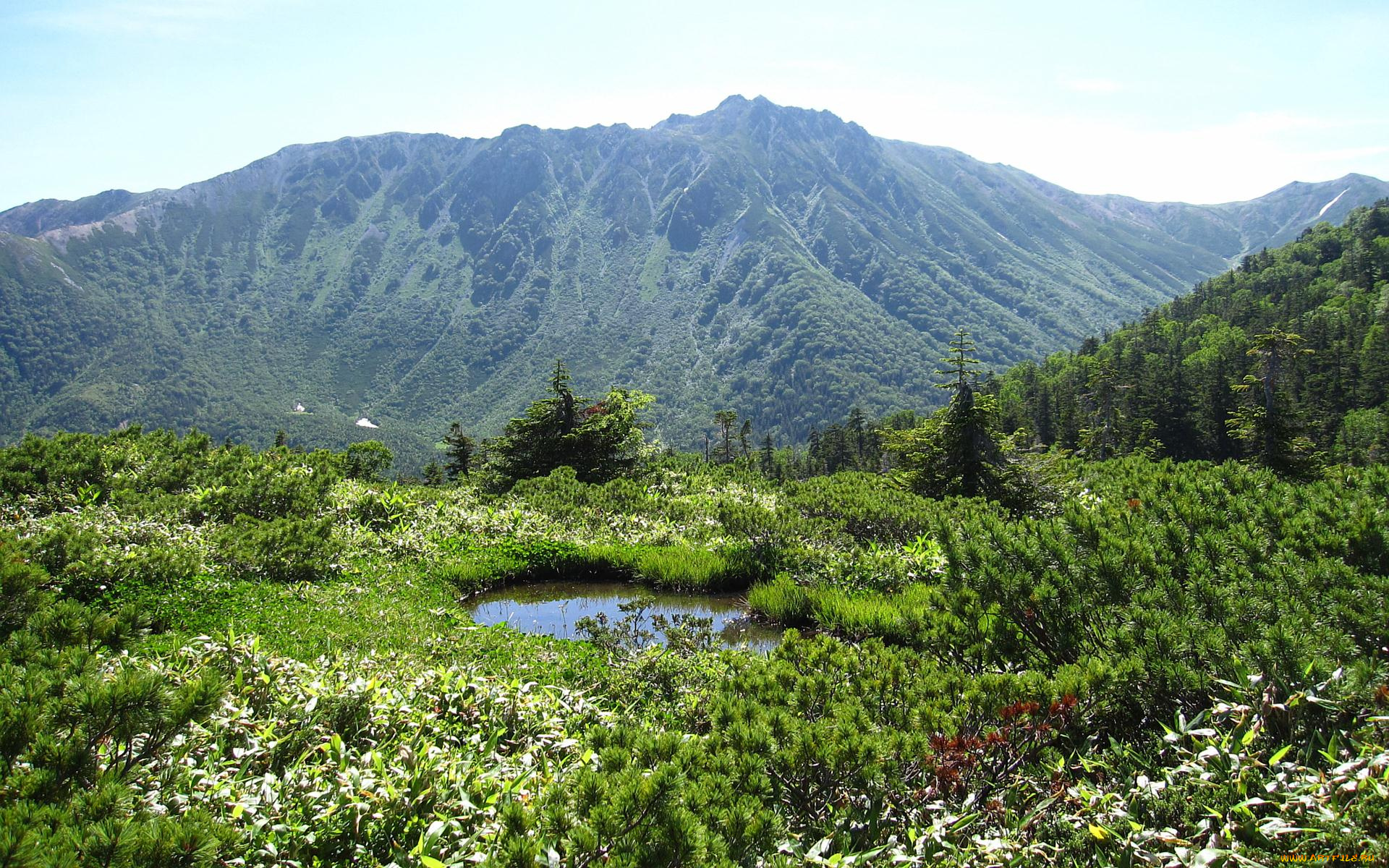 природа, горы, зелень