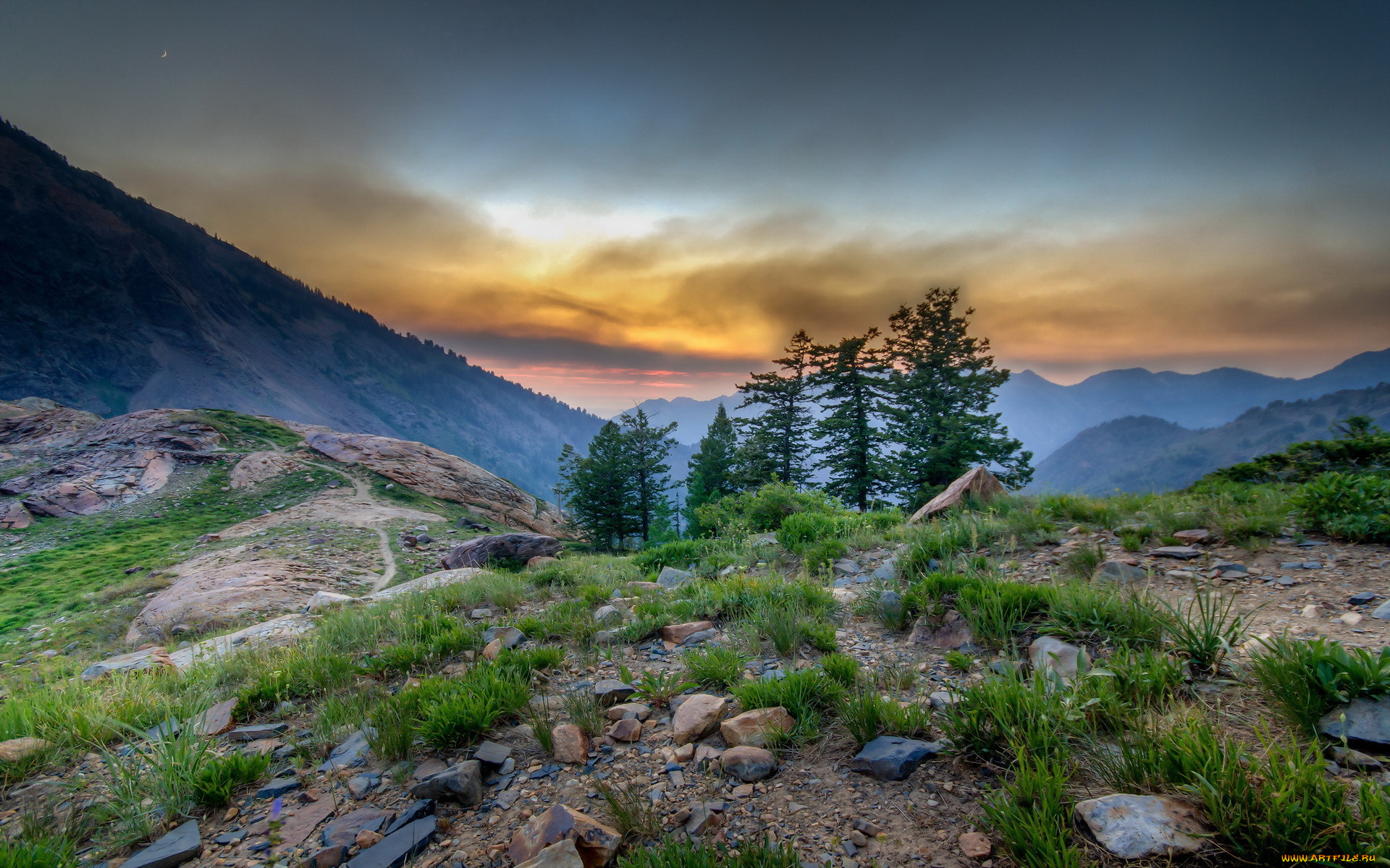 природа, пейзажи, деревья, горы