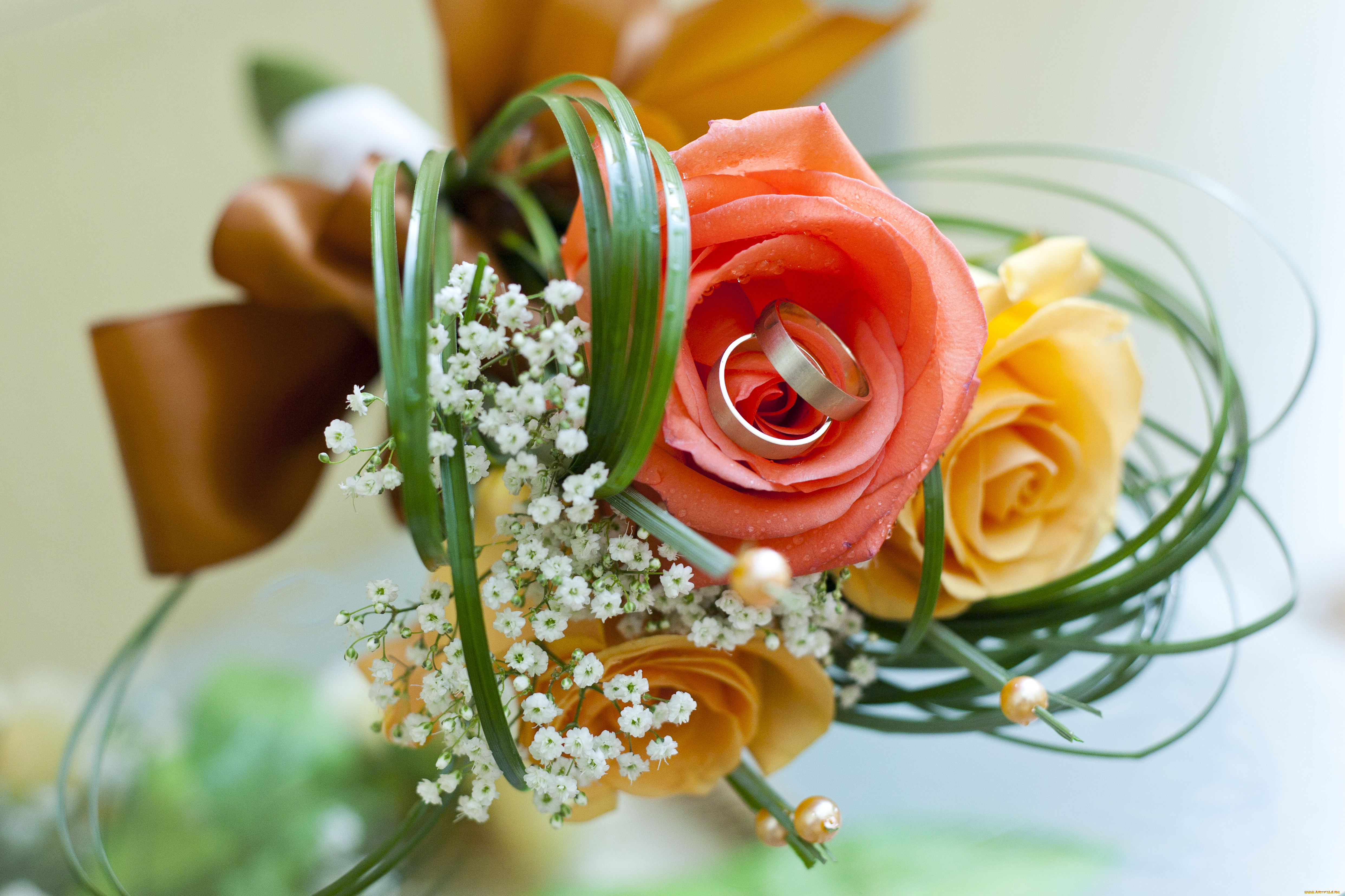 кольца, разное, украшения, аксессуары, веера