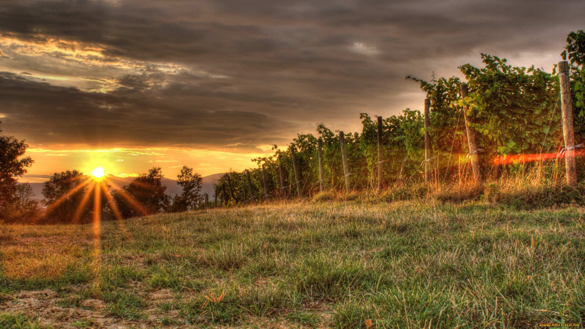 pisa, tuscany, италия, природа, восходы, закаты, луга, закат, виноградники