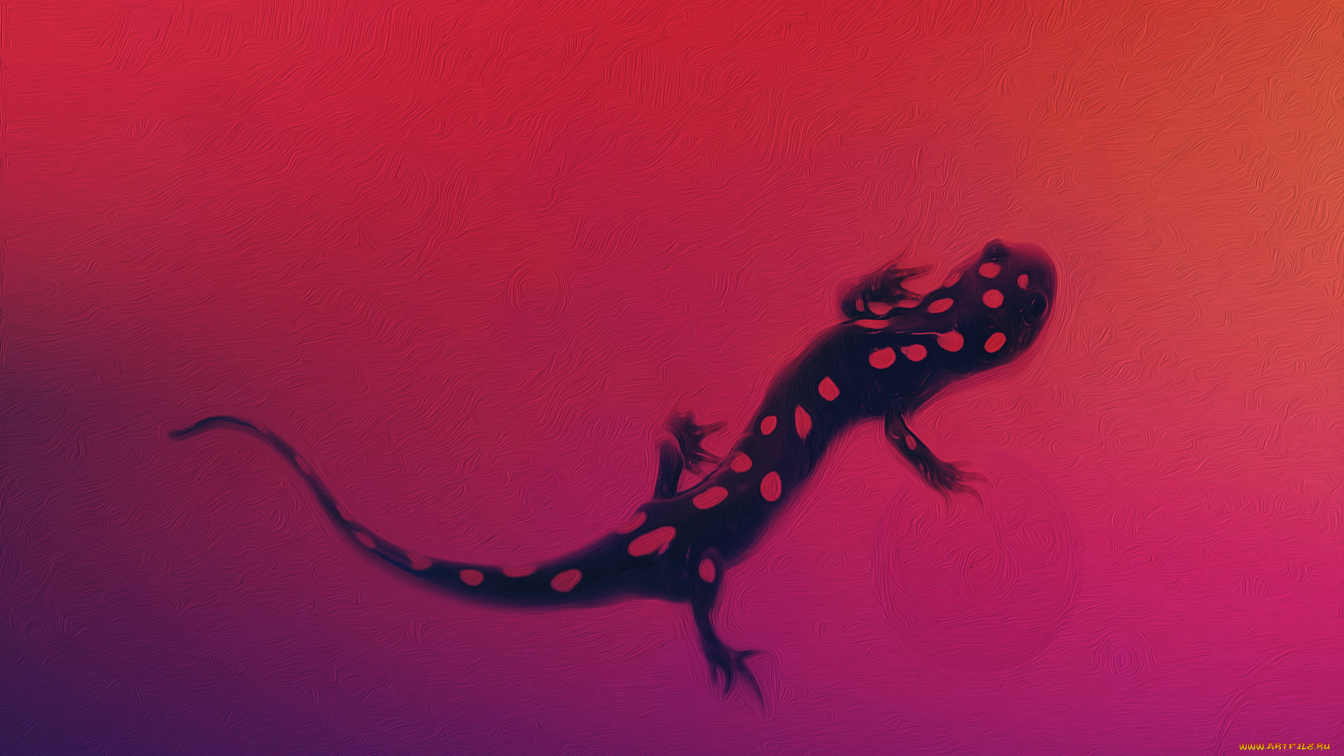 рисованные, животные, ящерицы, ящерица, саламандра