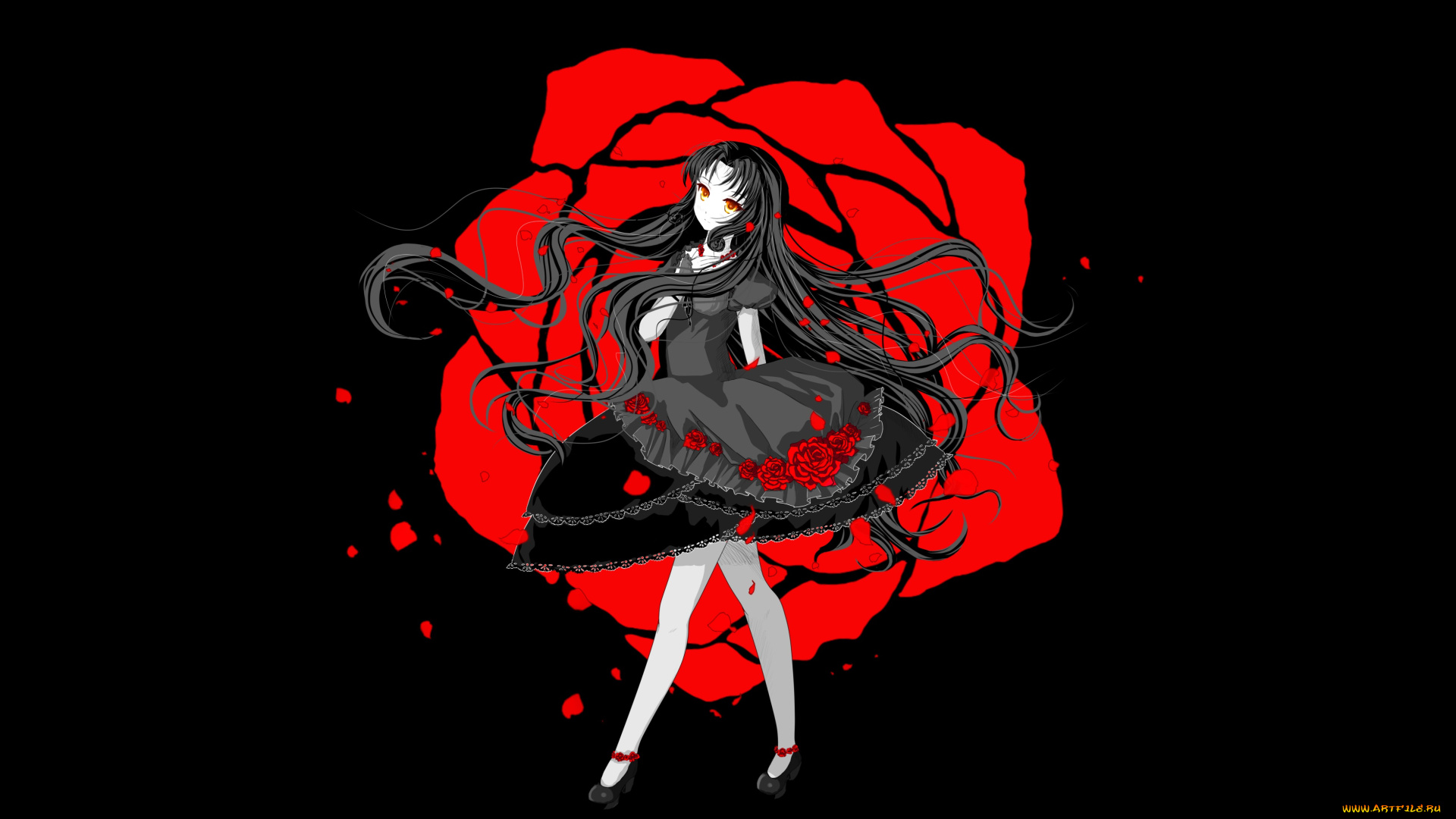 аниме, unknown, , другое, черный, фон, лепестки, розы, платье, взгляд, девушка