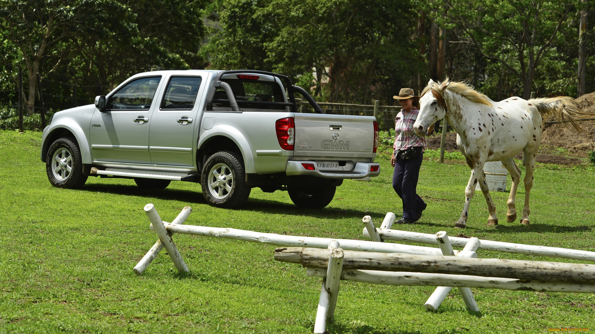 автомобили, great, wall, cab, 2014г, светлый, gwm, steed, 5e, double
