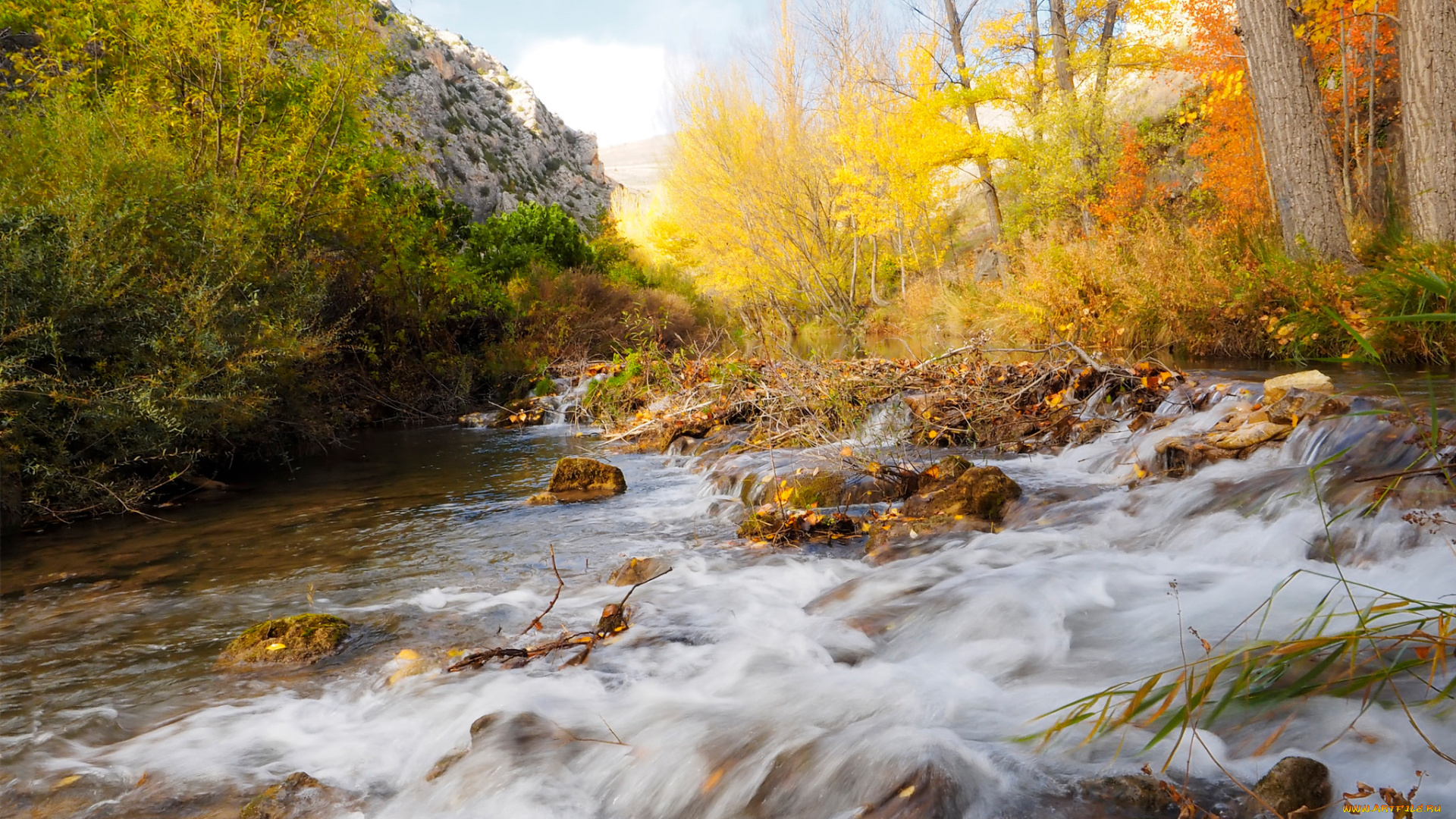 природа, реки, озера, камни, поток, осень, деревья, лес, река, горы