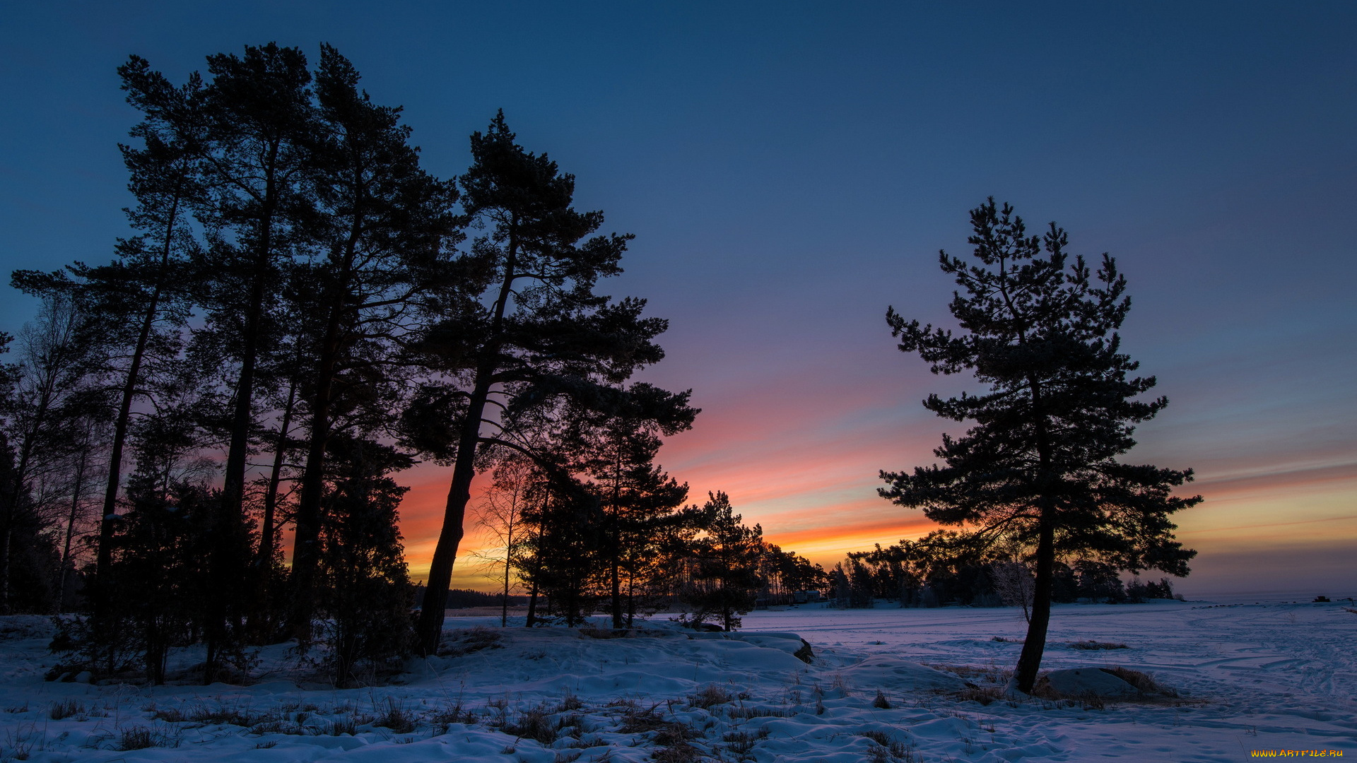 природа, восходы, закаты, деревья, снег