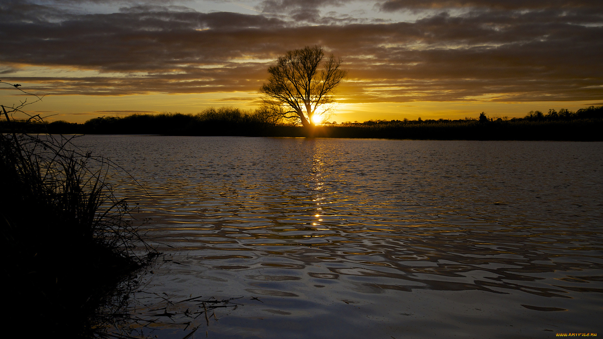 природа, восходы, закаты, закат, облака, небо, солнце, дерево, вода, озеро